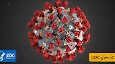 coronavirus%20image.jpeg