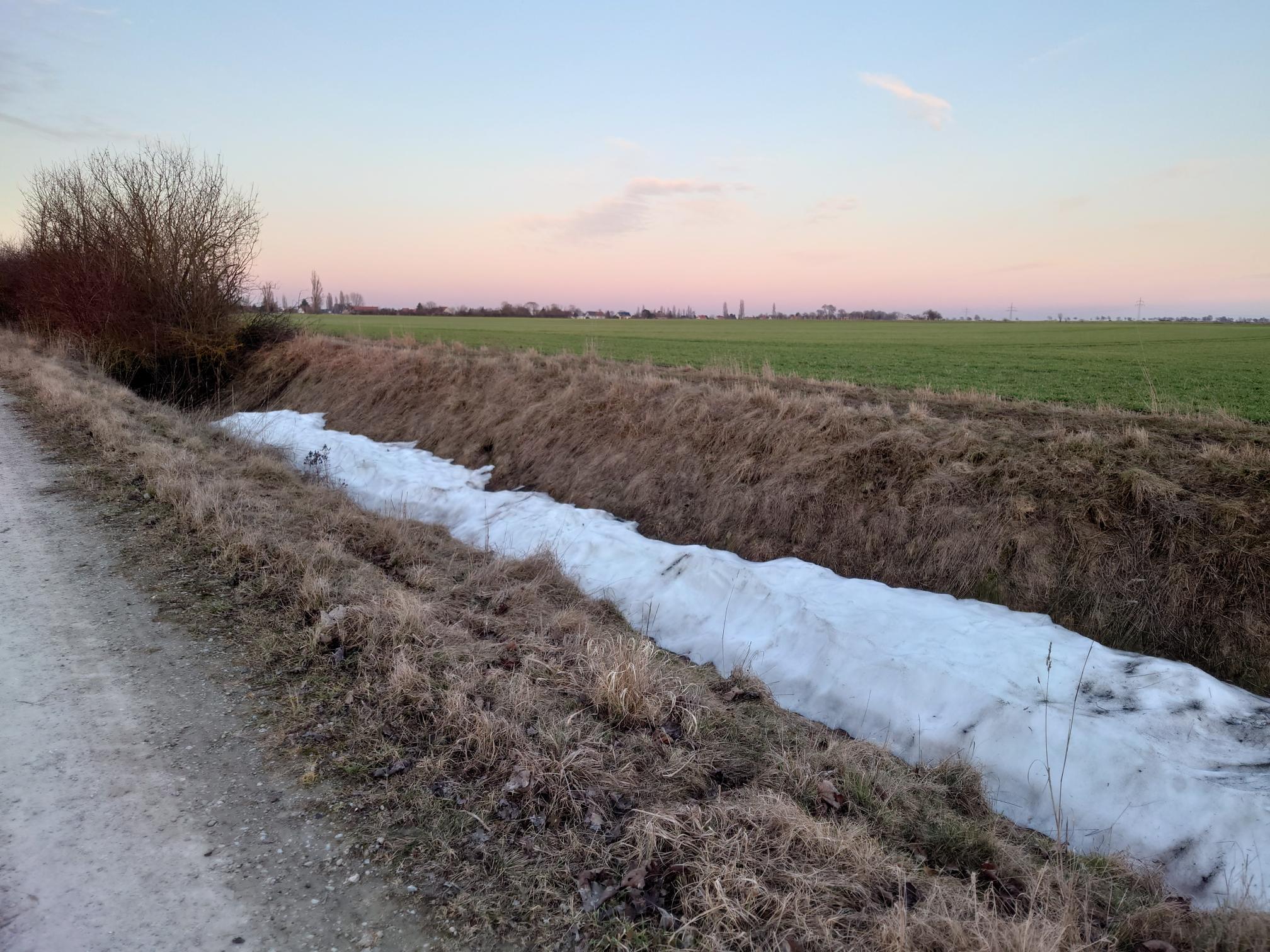 shared image(15).jpg