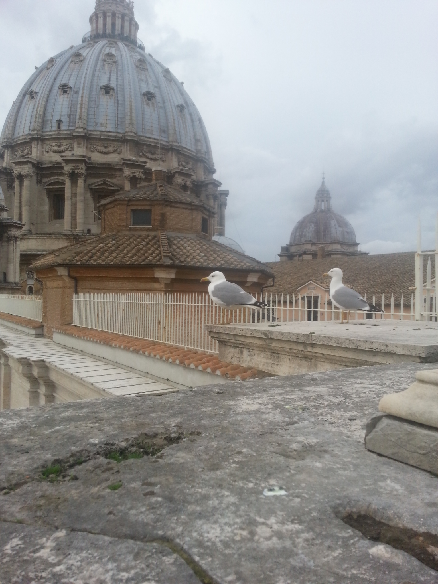 20140213_152145.jpg