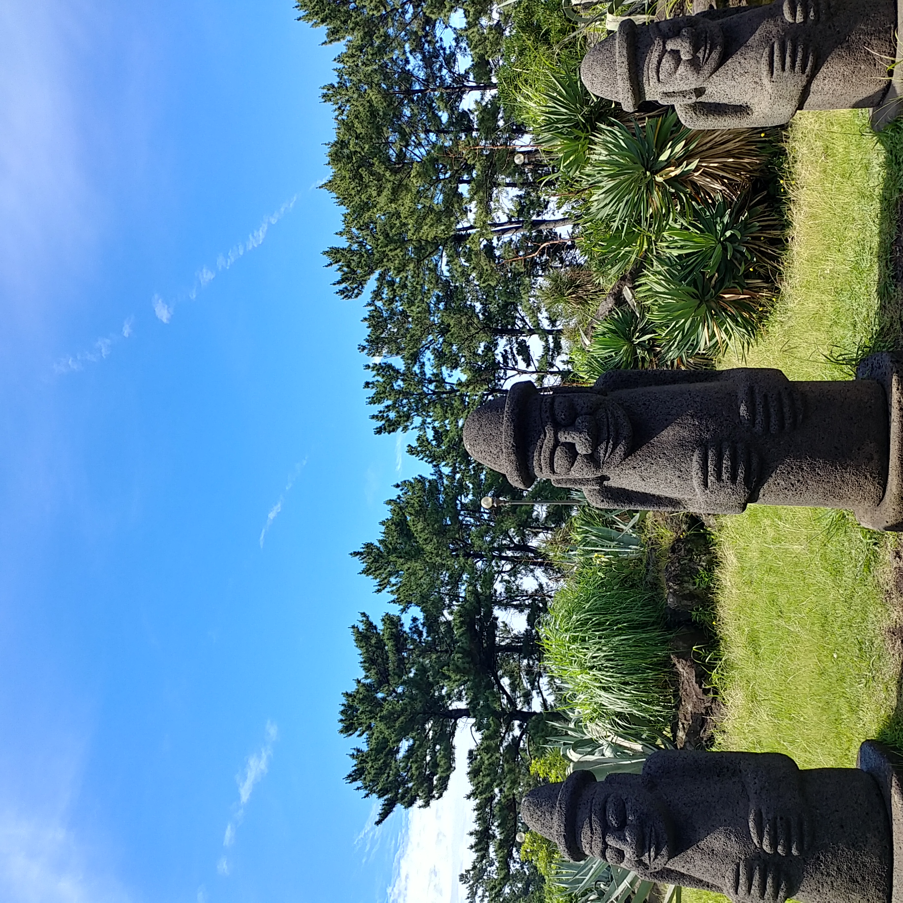 20180620_094922_HDR.jpg