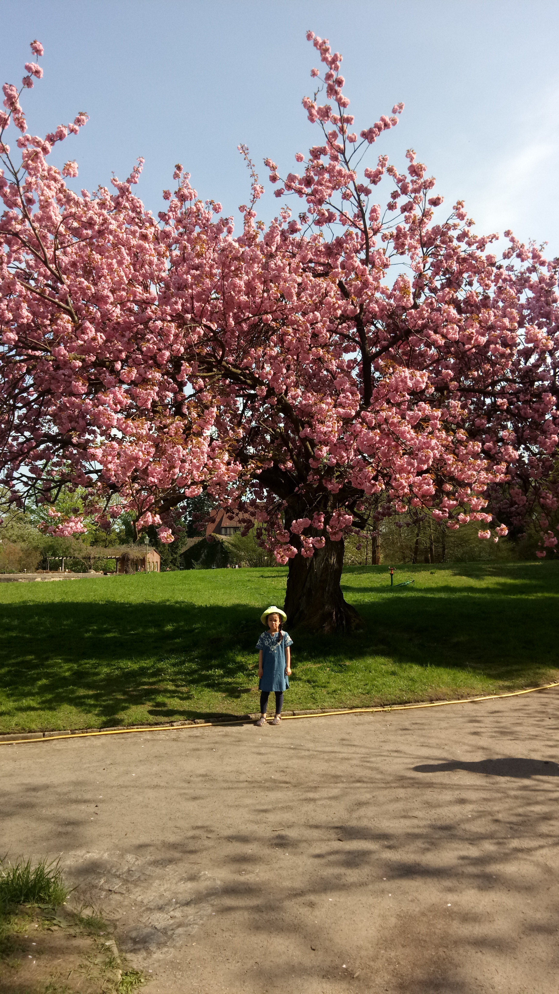 2018-04-22 15.33.29.jpg