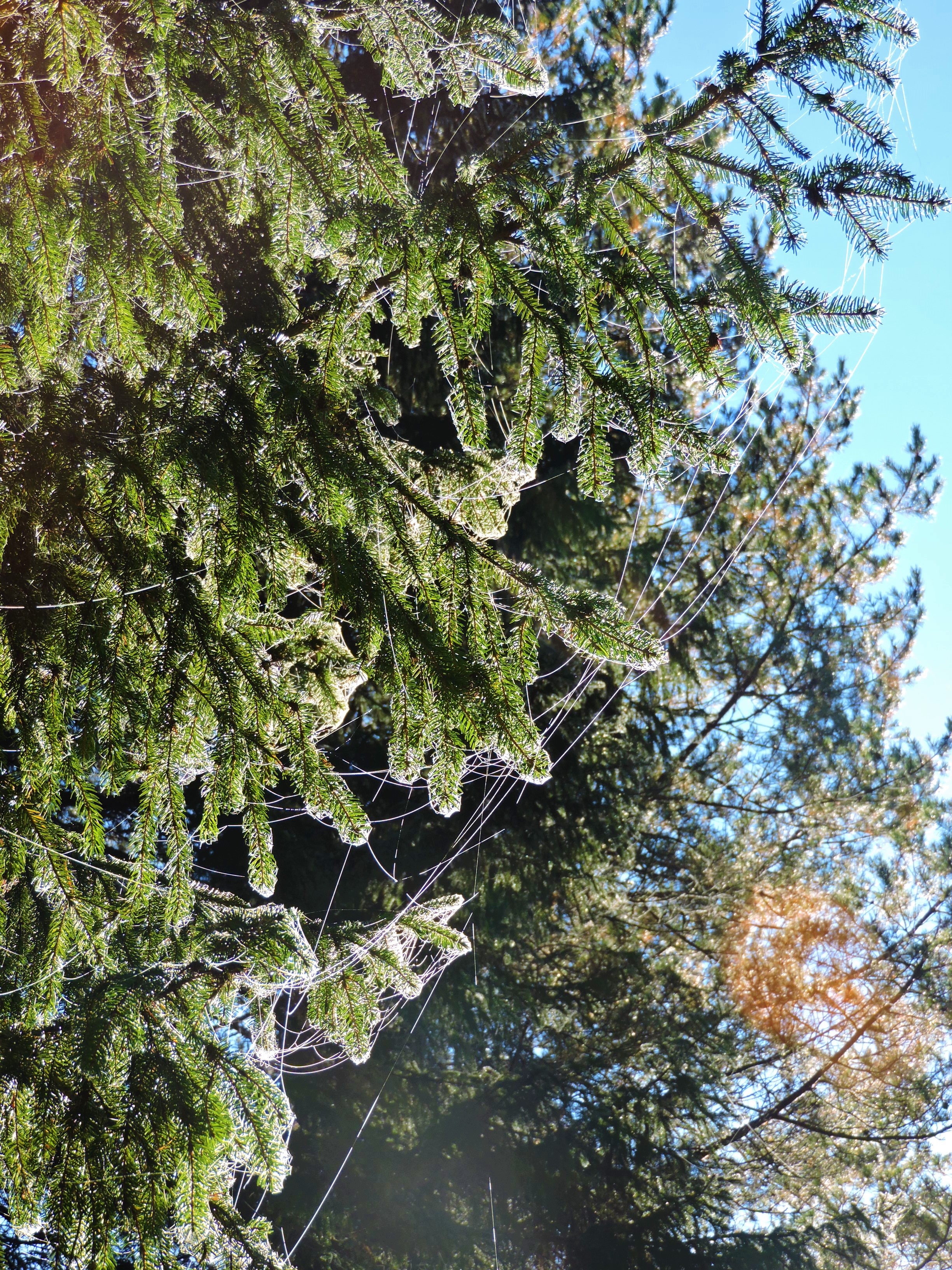 DSCN1853.JPG