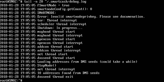 vultr-debug.jpg