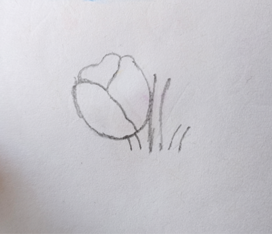 Drawing (6).png