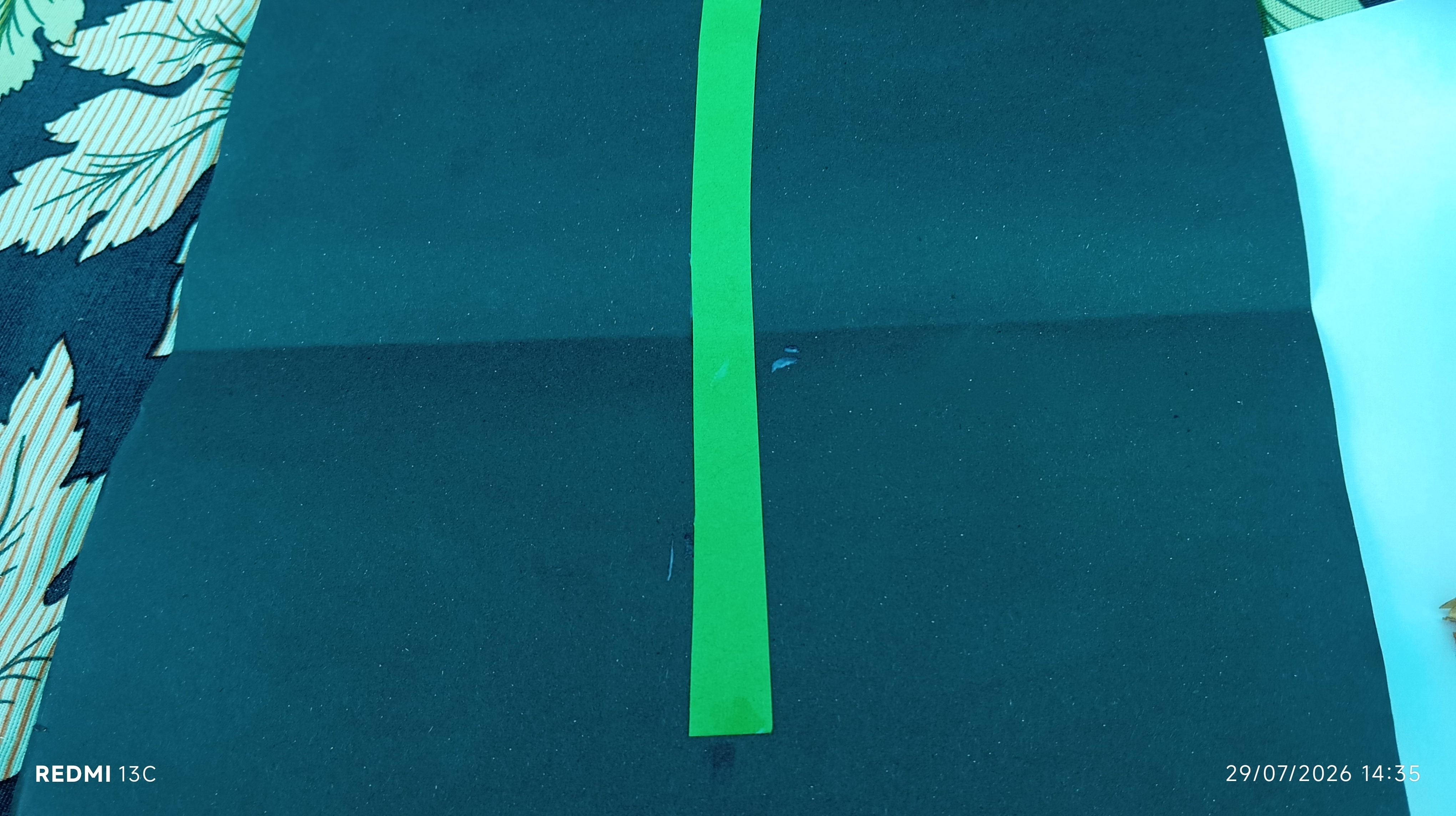1000223287.jpg