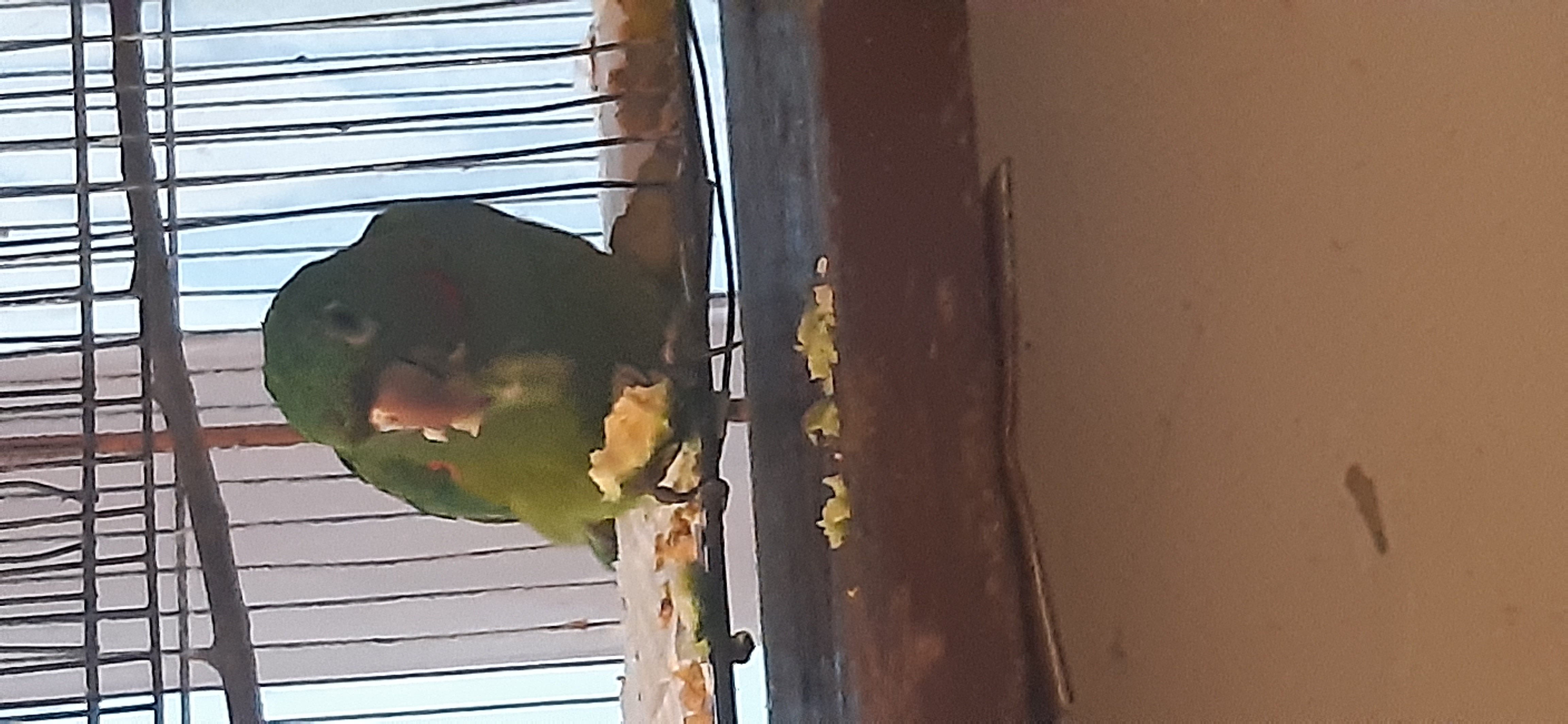 20200710_181849.jpg