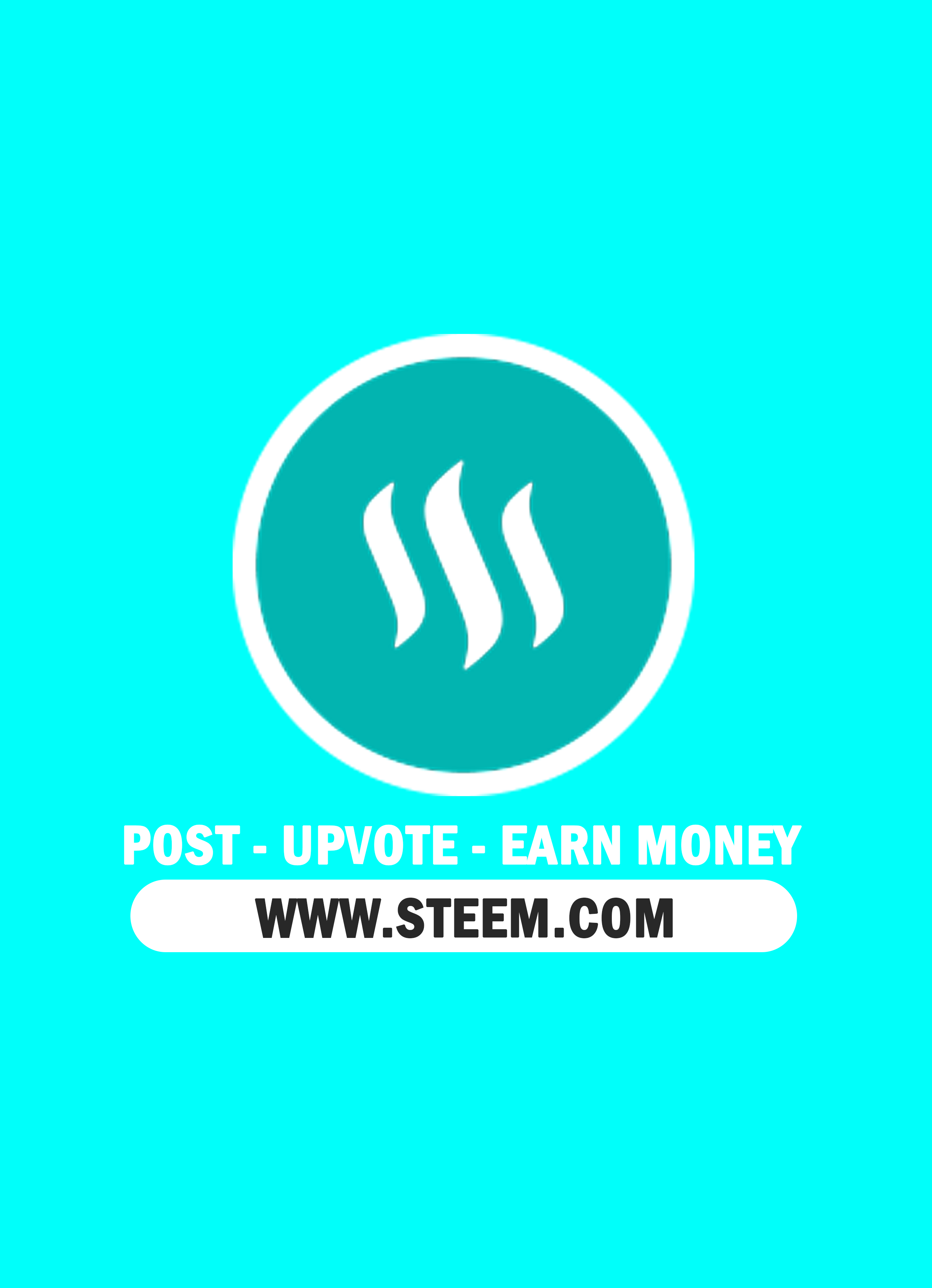 Shopping Bags Steem.png