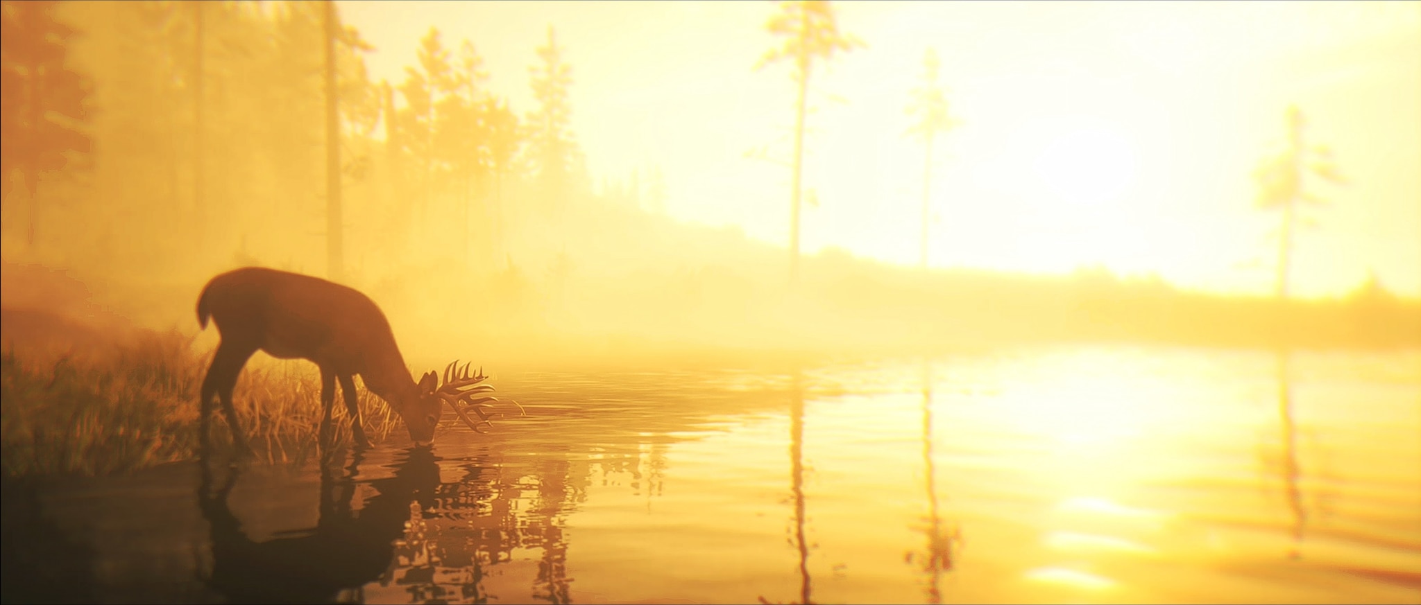 RDR2_2.jpg