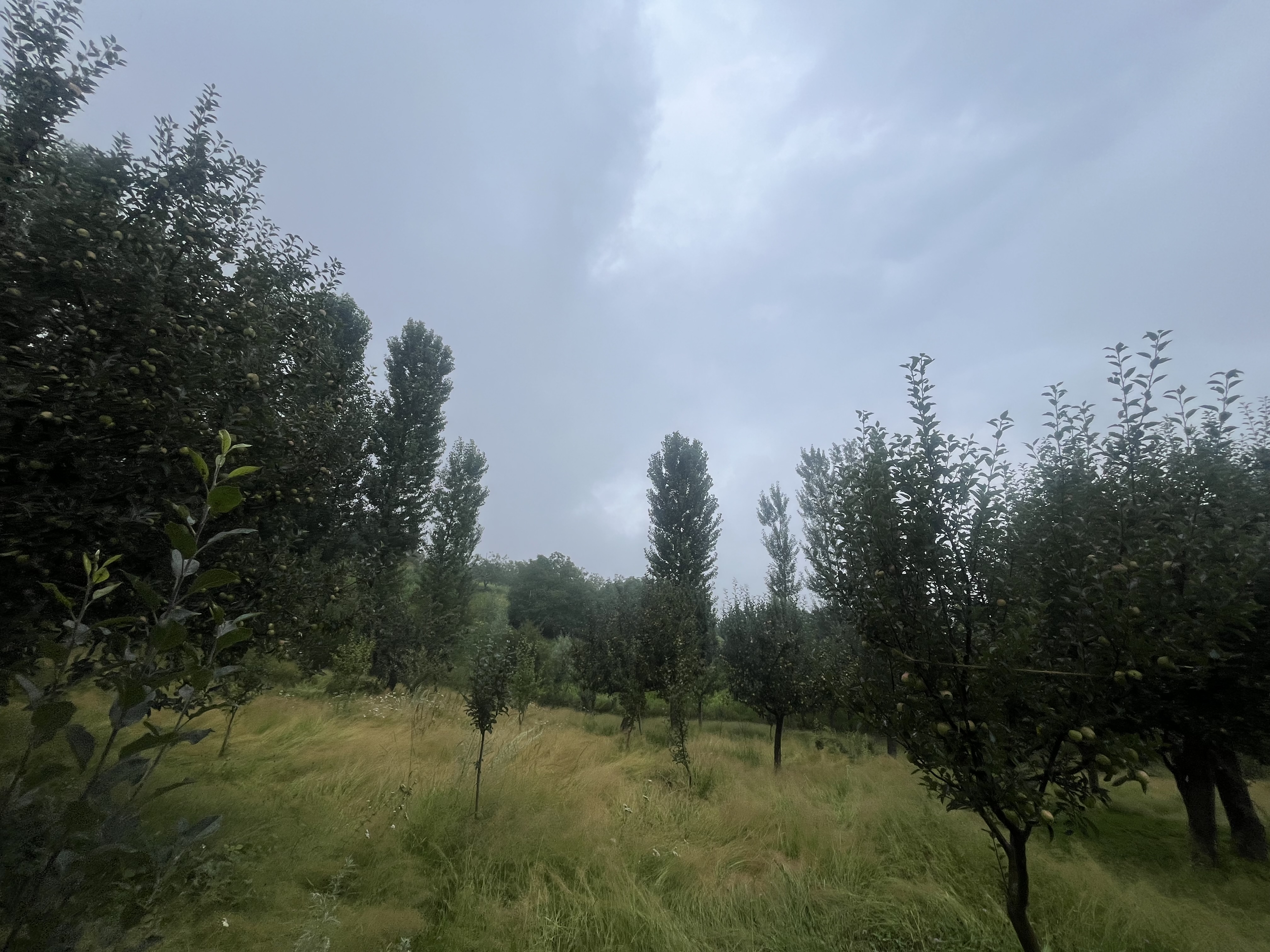 IMG_1538.jpeg