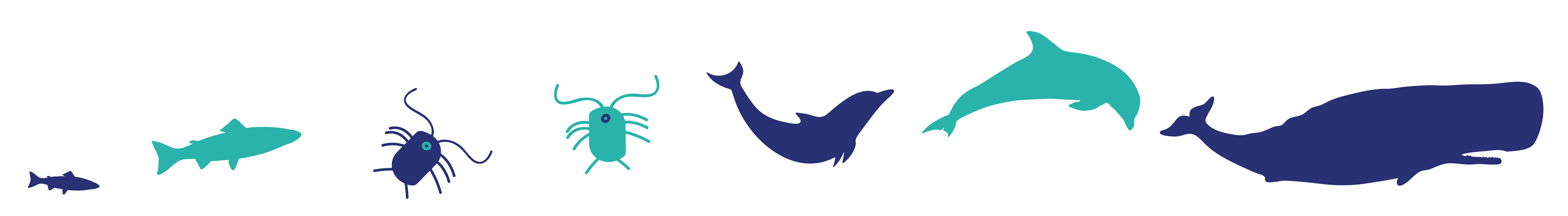 43346082_951986768322084_3780987189593112576_n.png