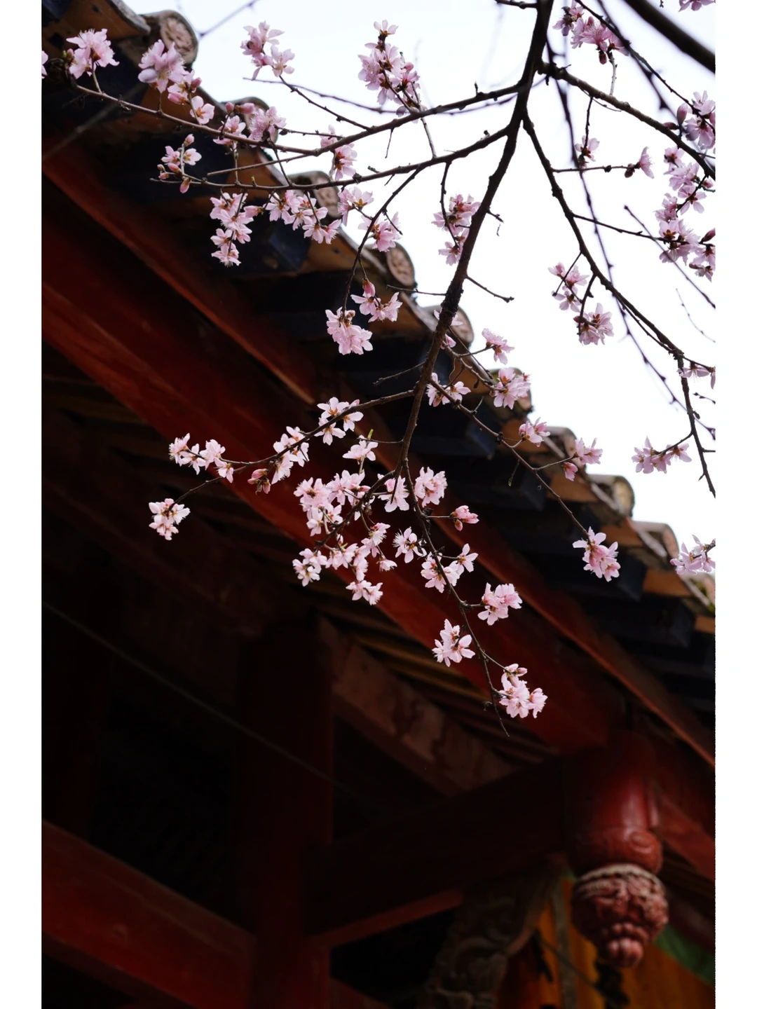 7.webp