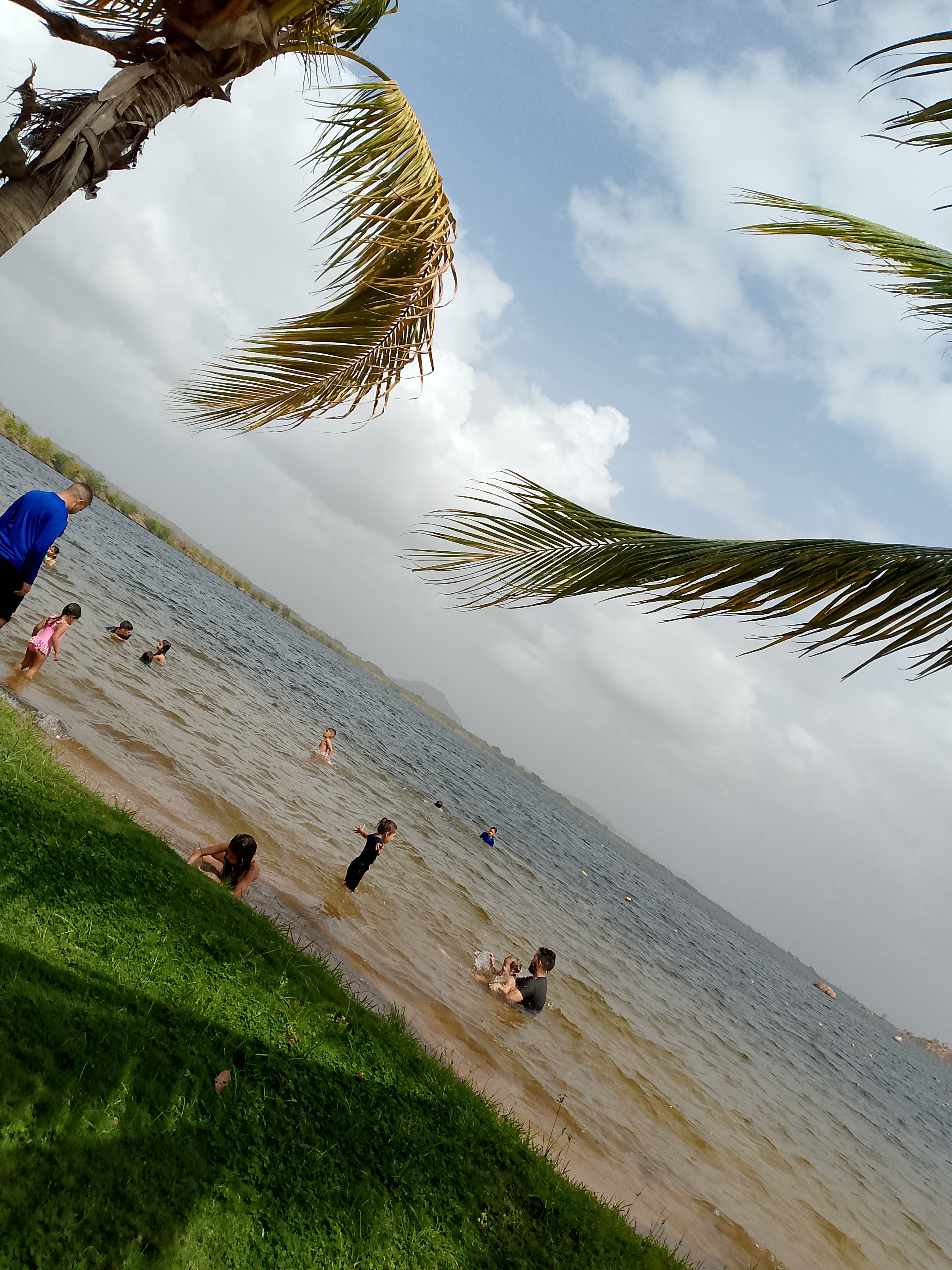 IMG_20241225_123114_358.jpg