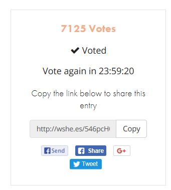 vote.JPG