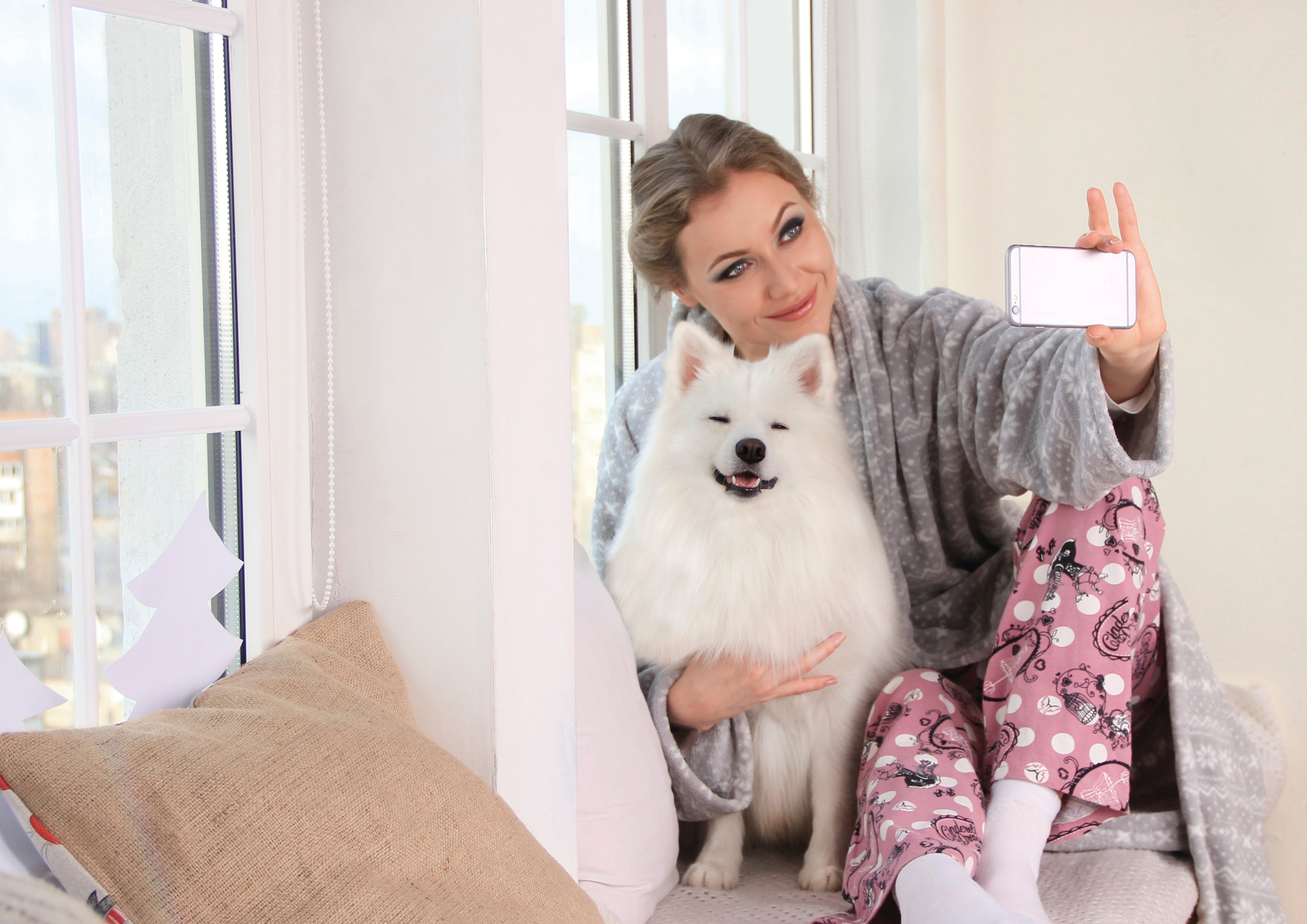 ANIMALS AND PETS.jpg