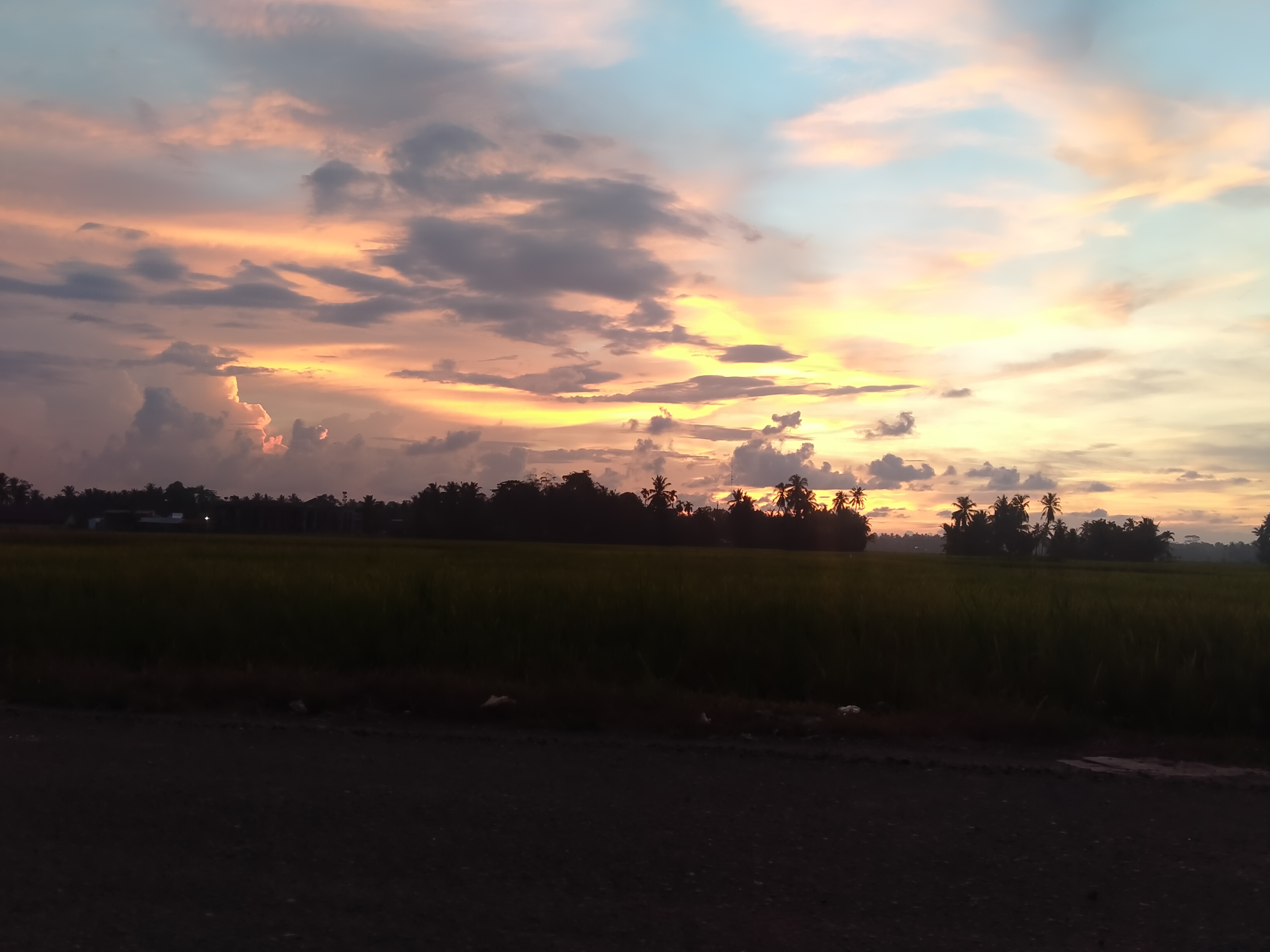 IMG20210430184413.jpg