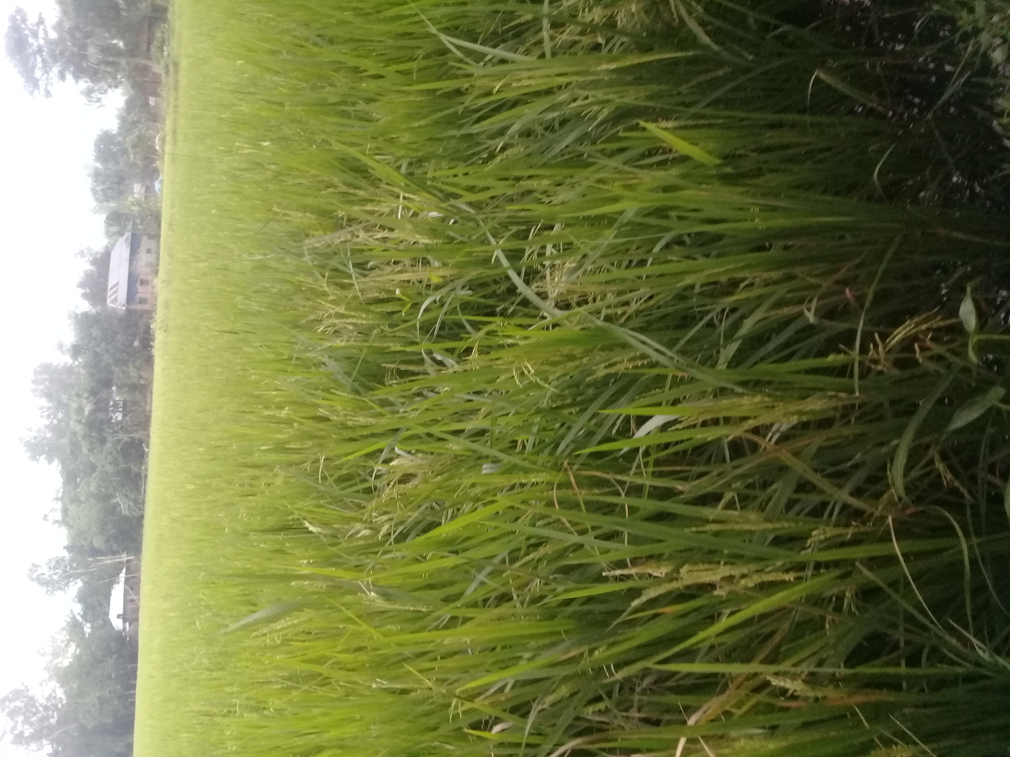20220513_102703.jpg