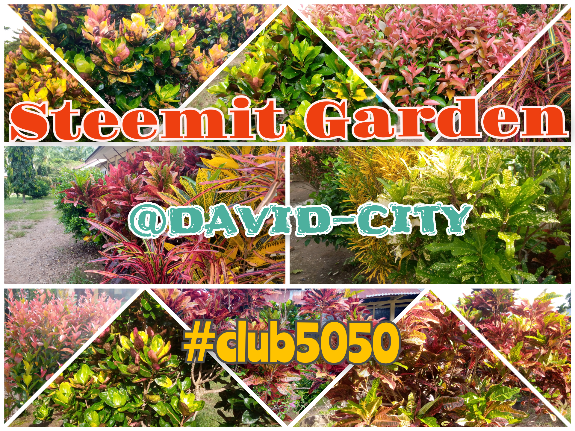 CollageMaker_20211204_223356110.jpg