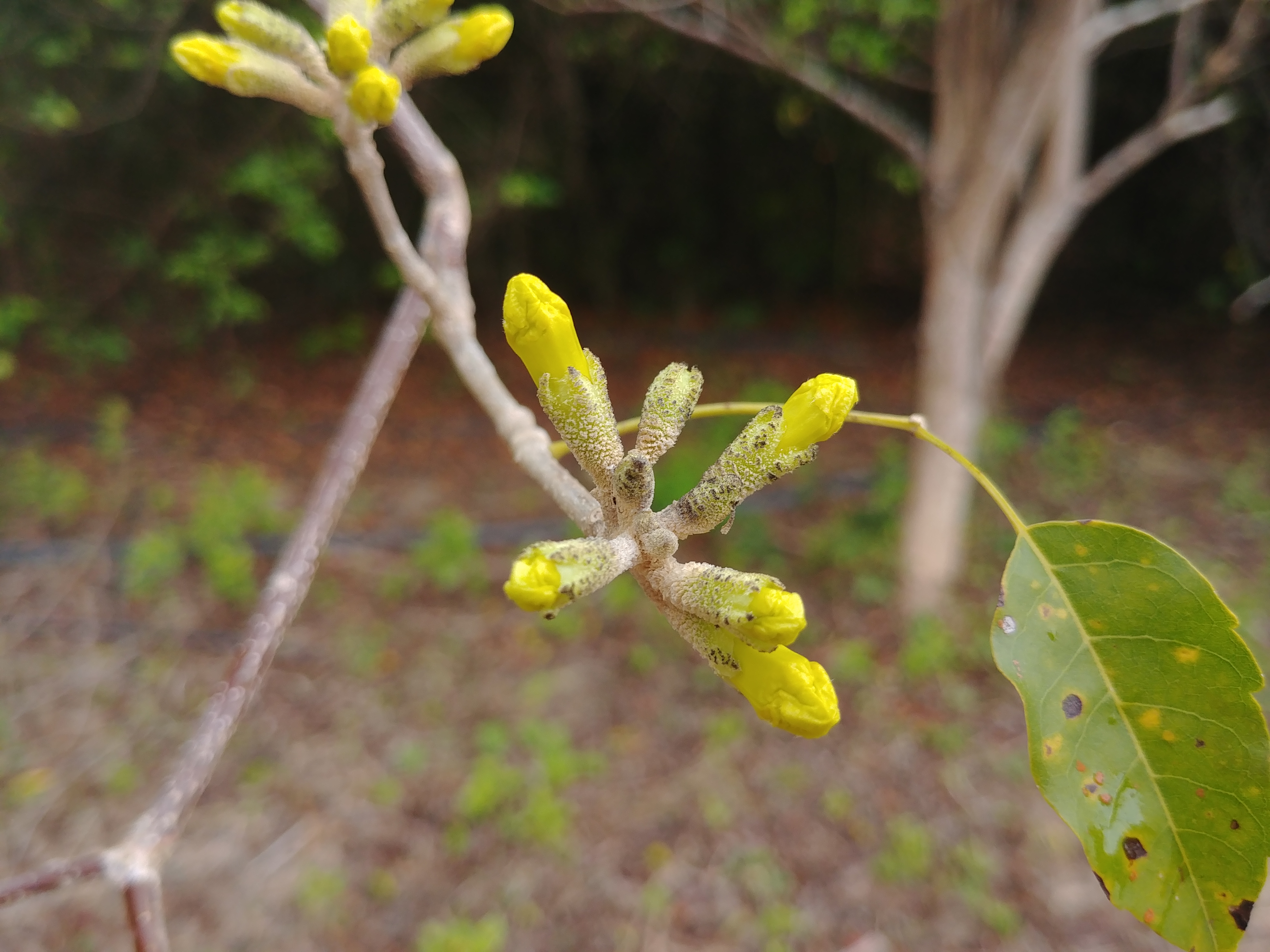 20180326_095158.jpg