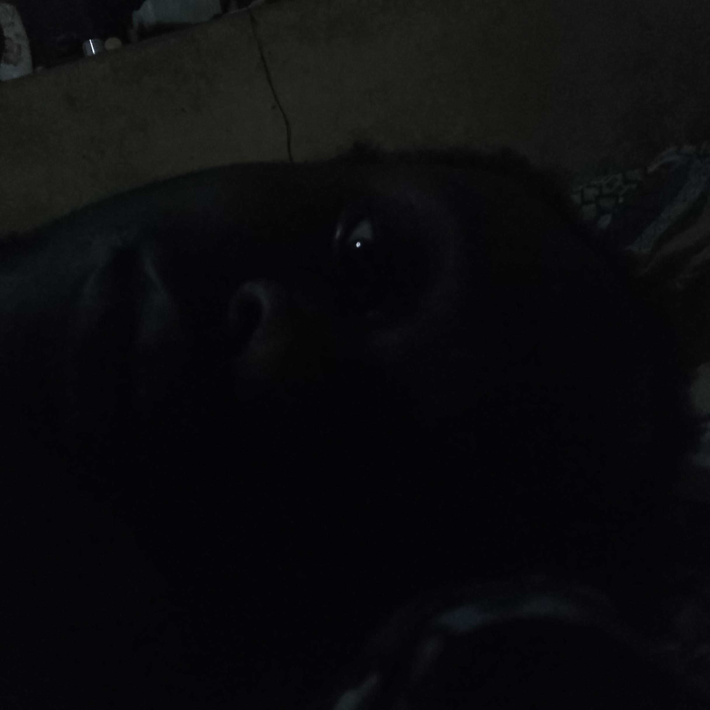 1000505132.jpg