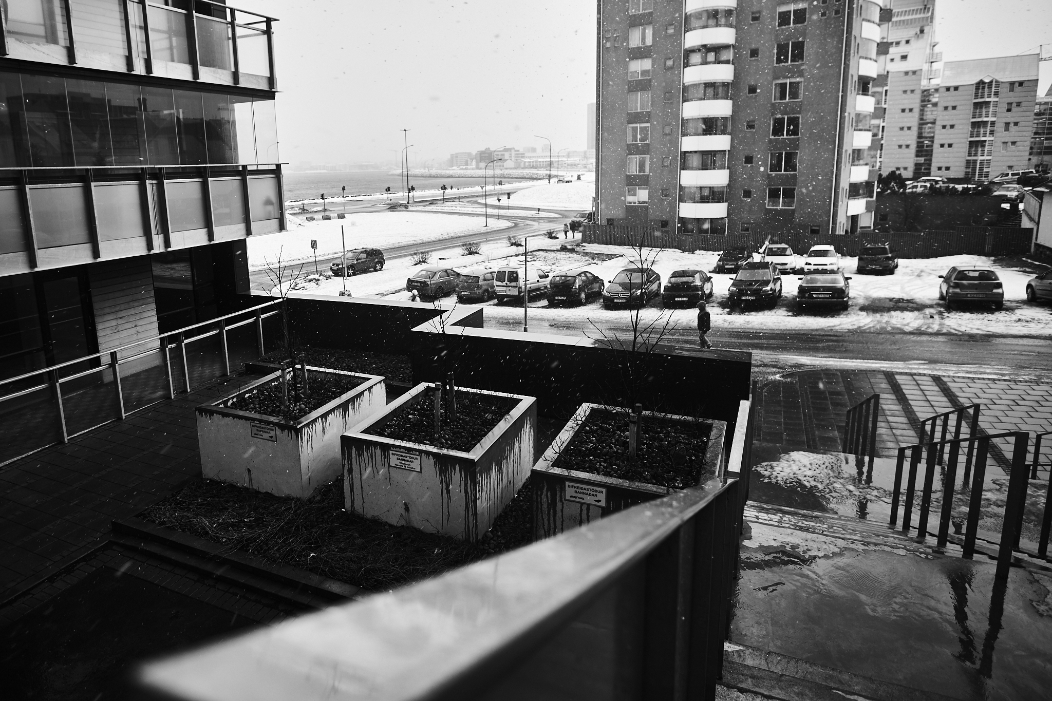 DSCF7670.JPG