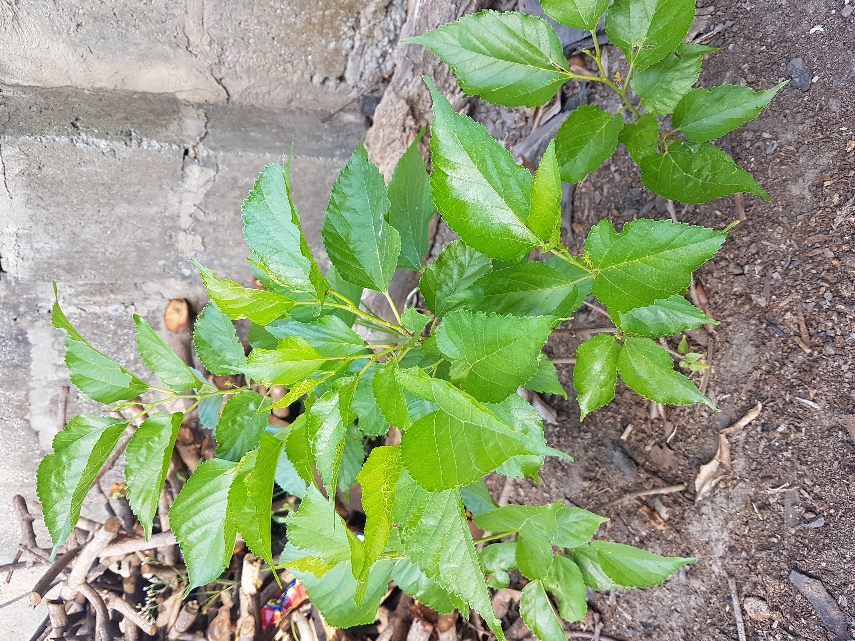20181108_153725.jpg