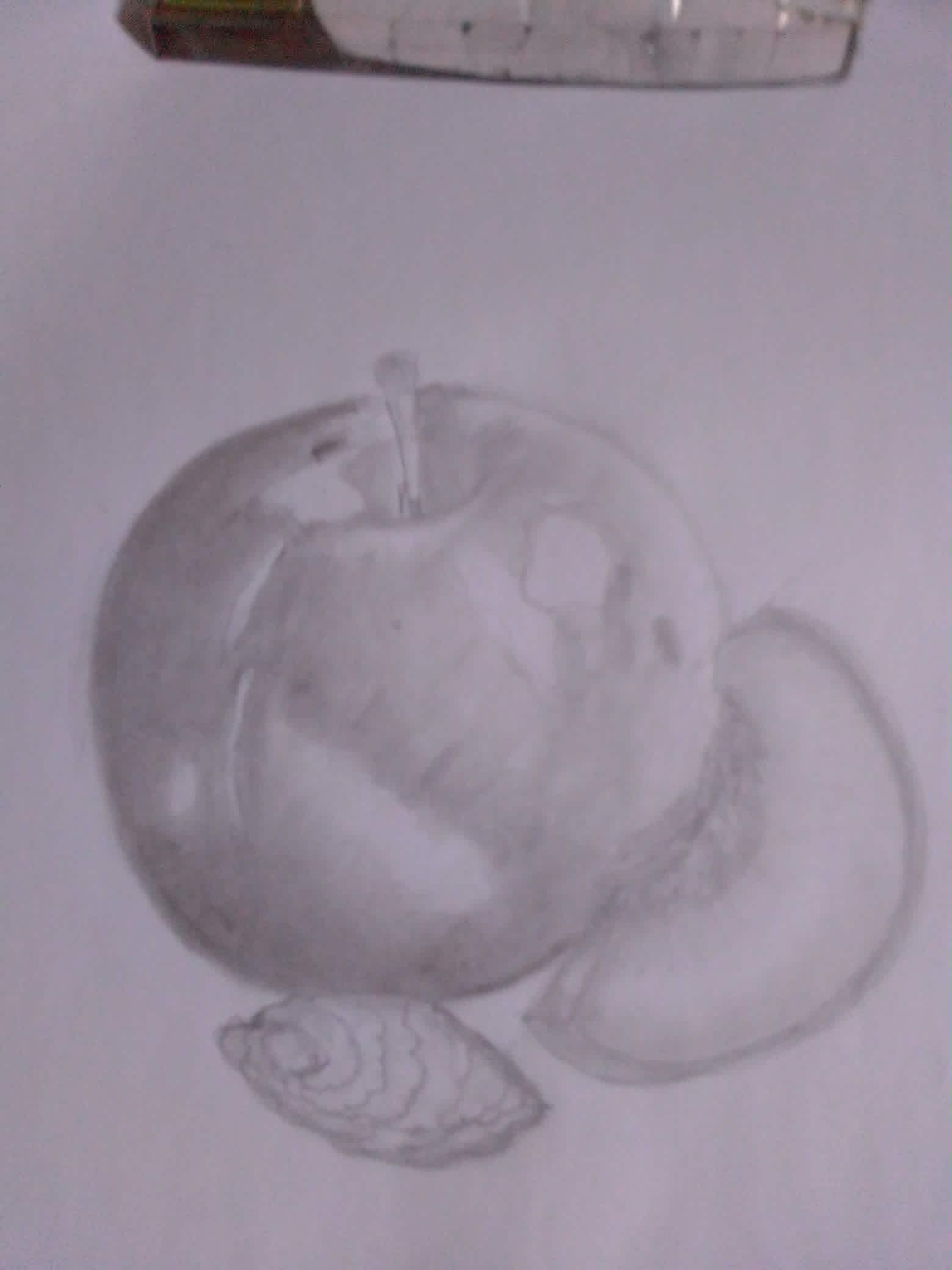 b3.jpg