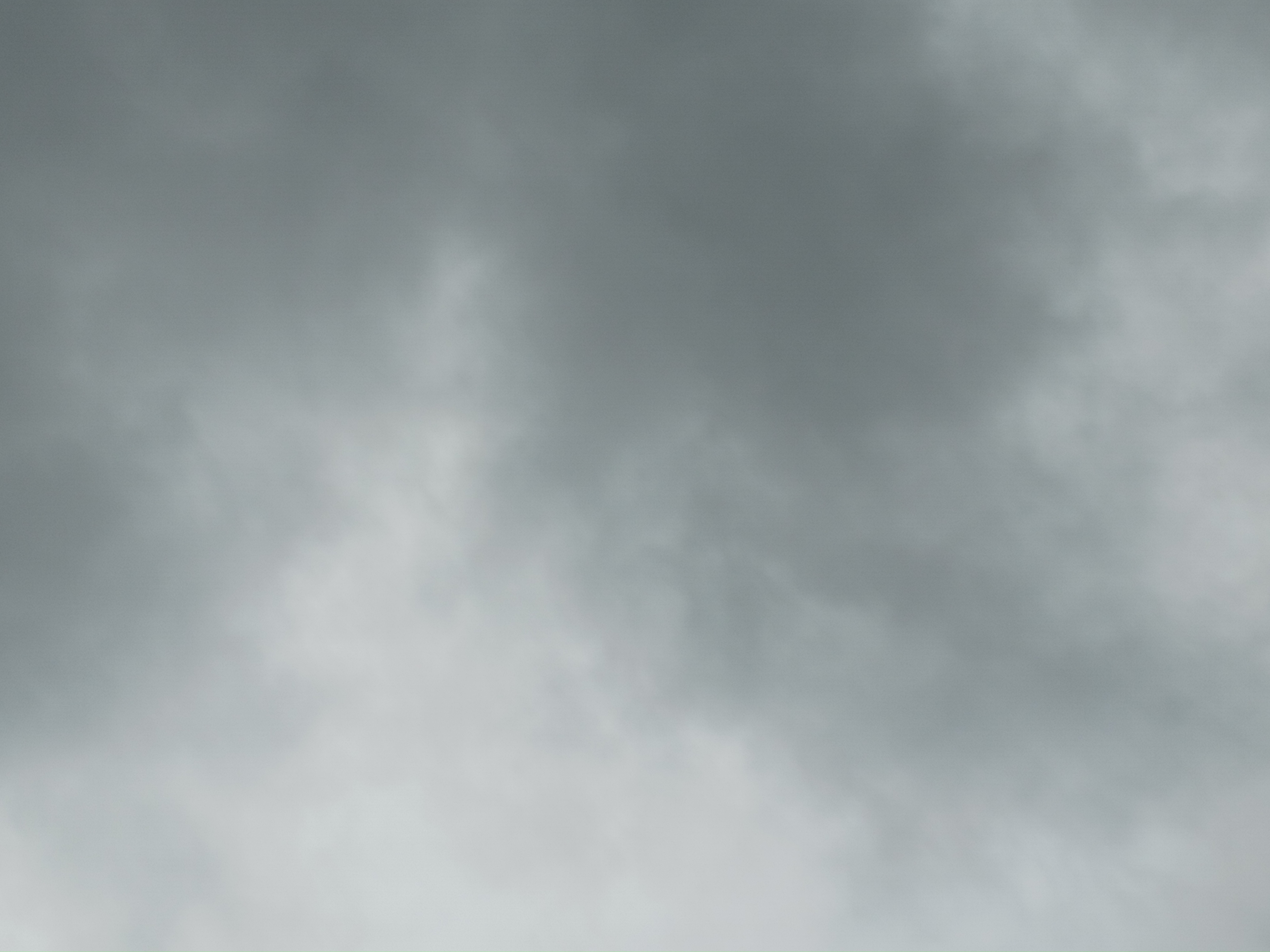 1000316689.jpg