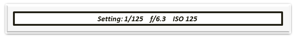 1.png