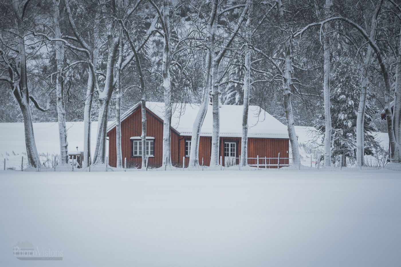 _MG_1602-1-2.jpg