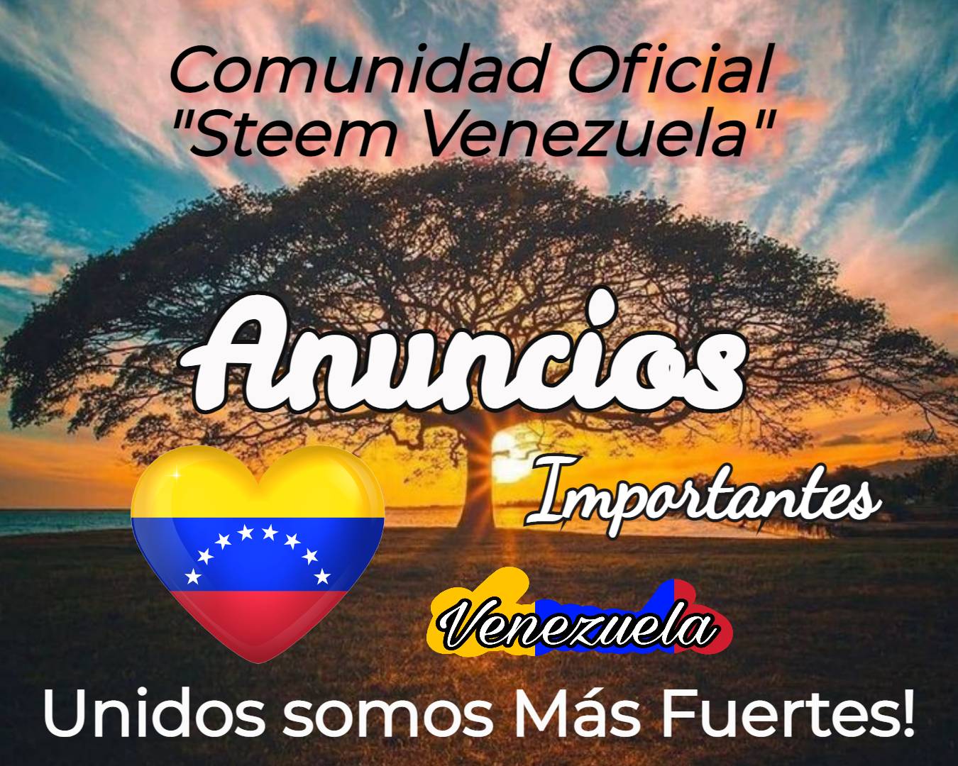 Anuncios Steem Venezuela.jpg