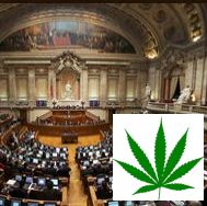 cannabis.jpg