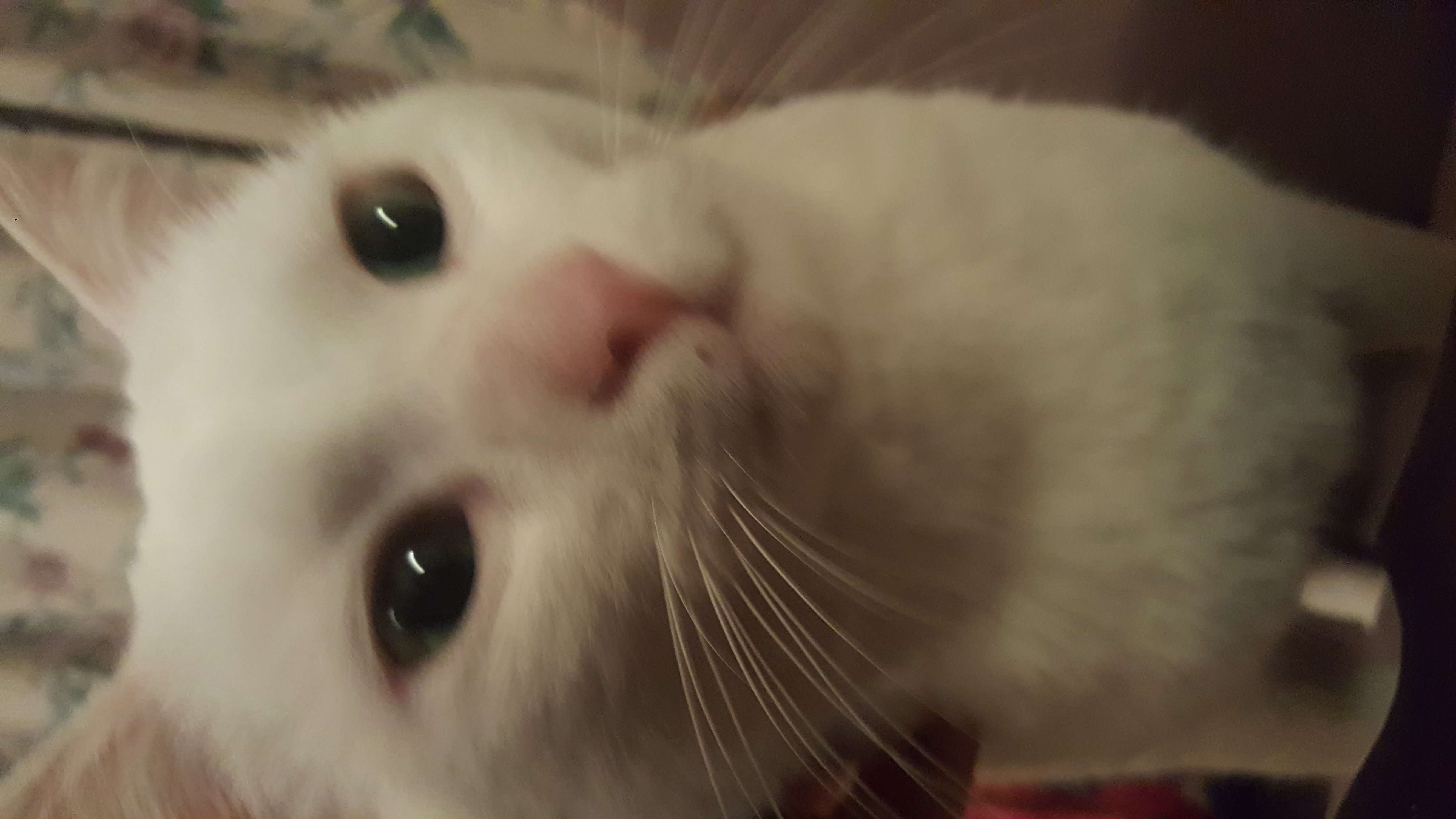 20190730_180354.jpg