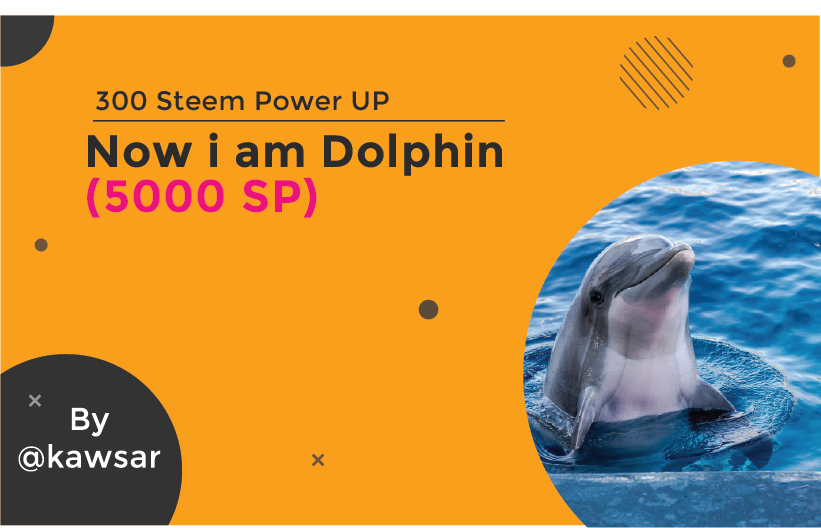 CLUBDOLPHIN.png