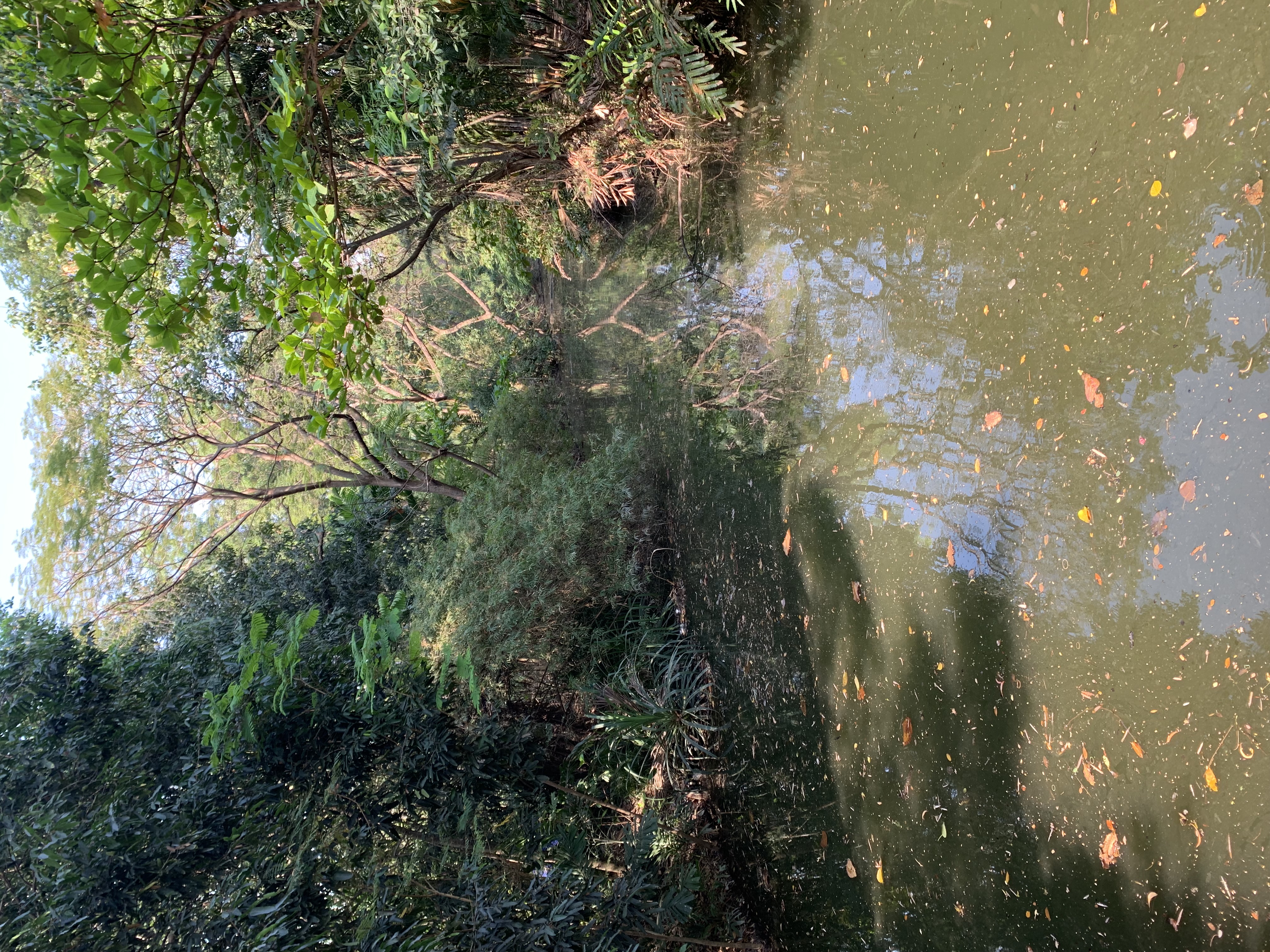 Queen Sirikit Park3.jpg