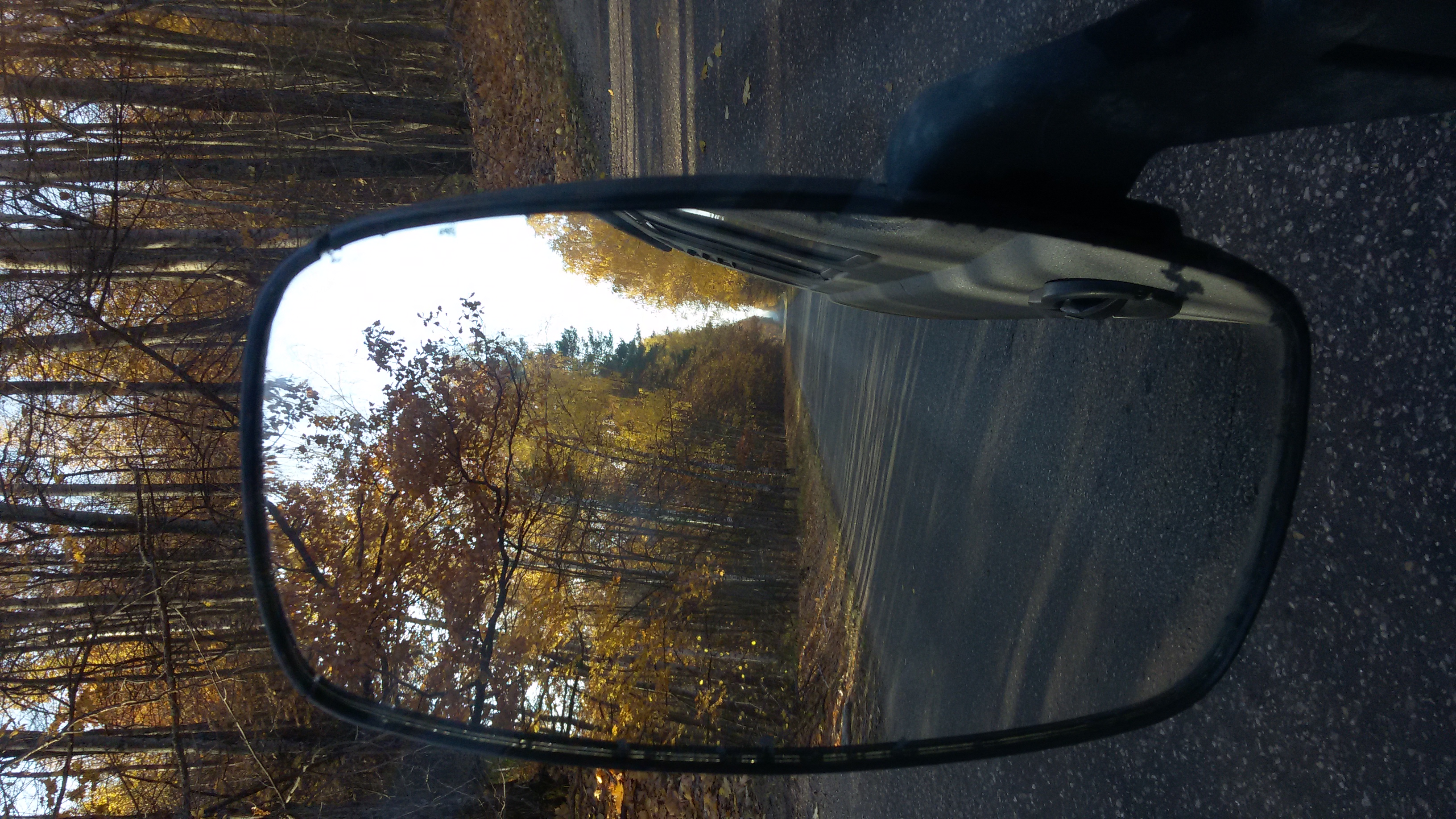 20181018_095225.jpg