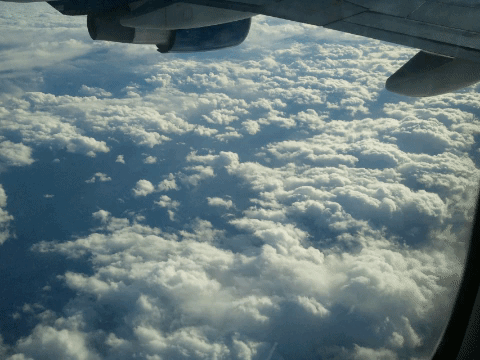 50C0A4F4-35B3-45EB-9847-7CF4105CB0FA.gif