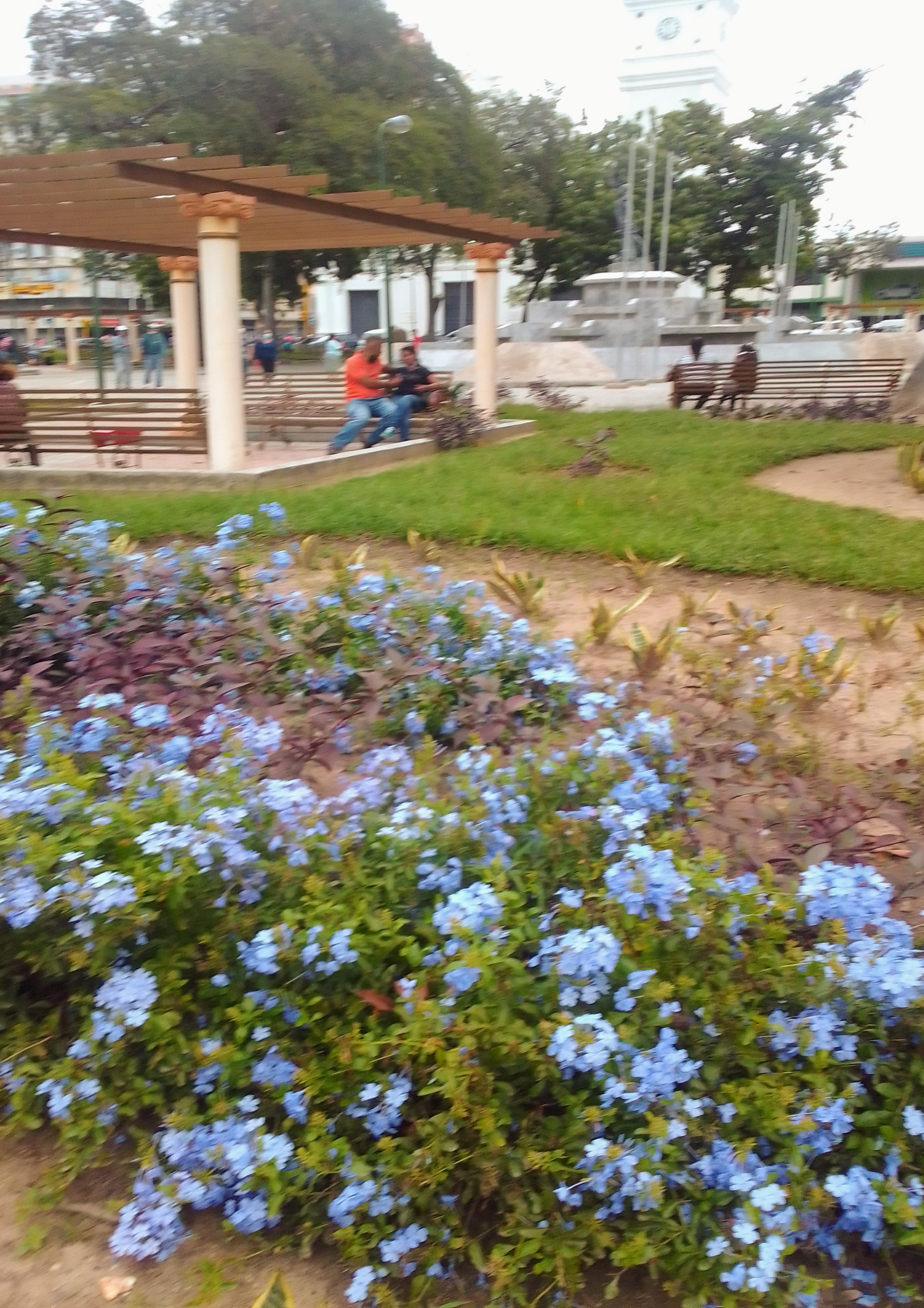 IMG_20211028_115355~2.jpg