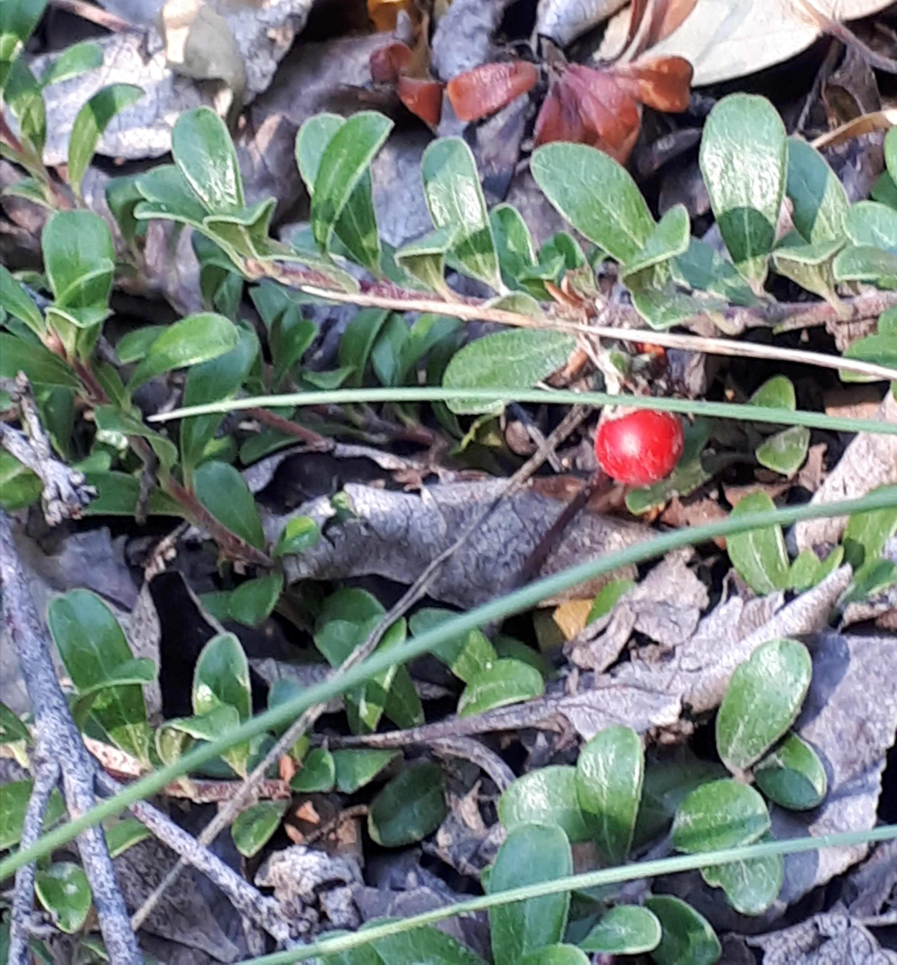 20180902_181742.jpg
