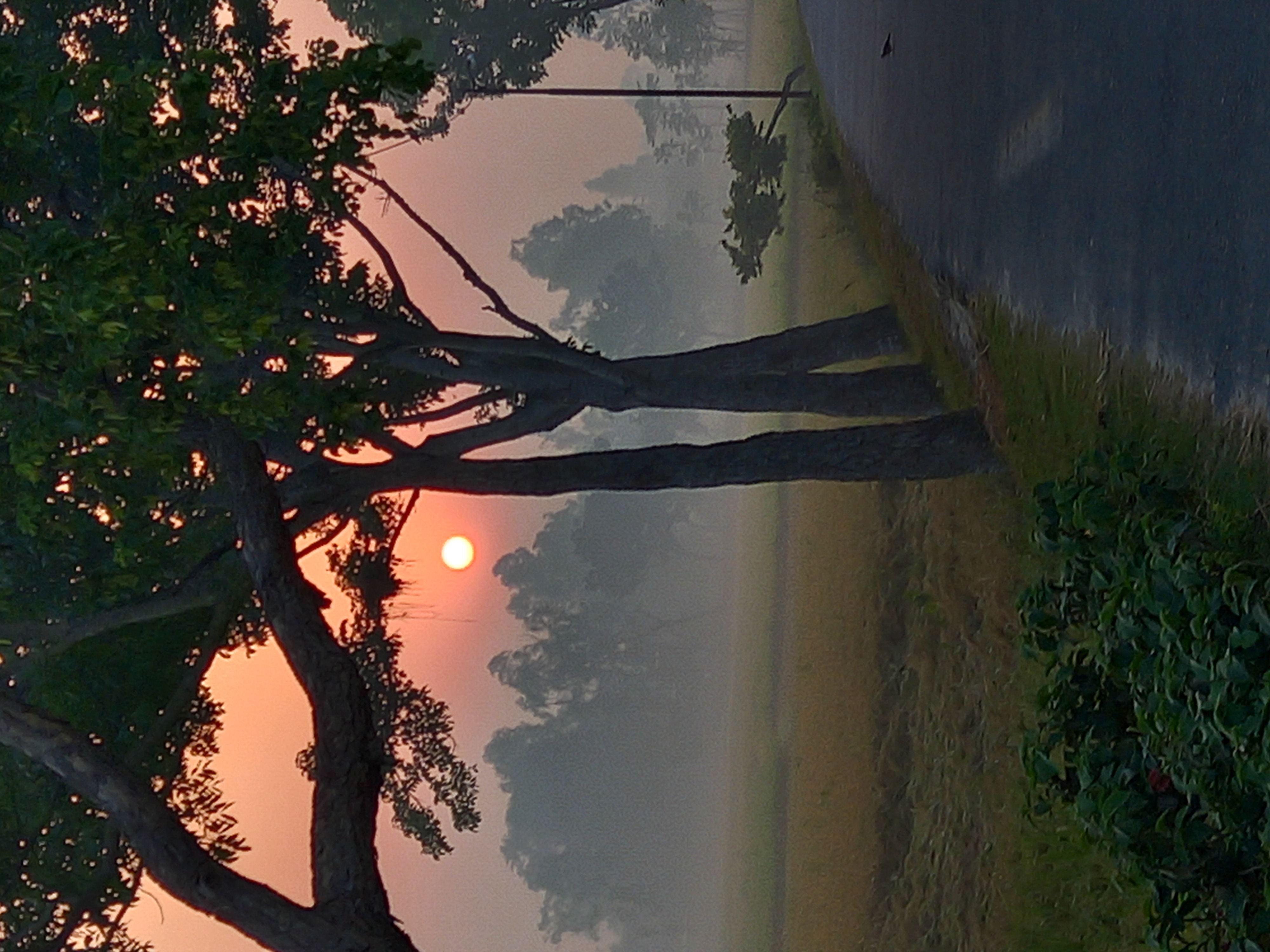 20230508_054622.jpg