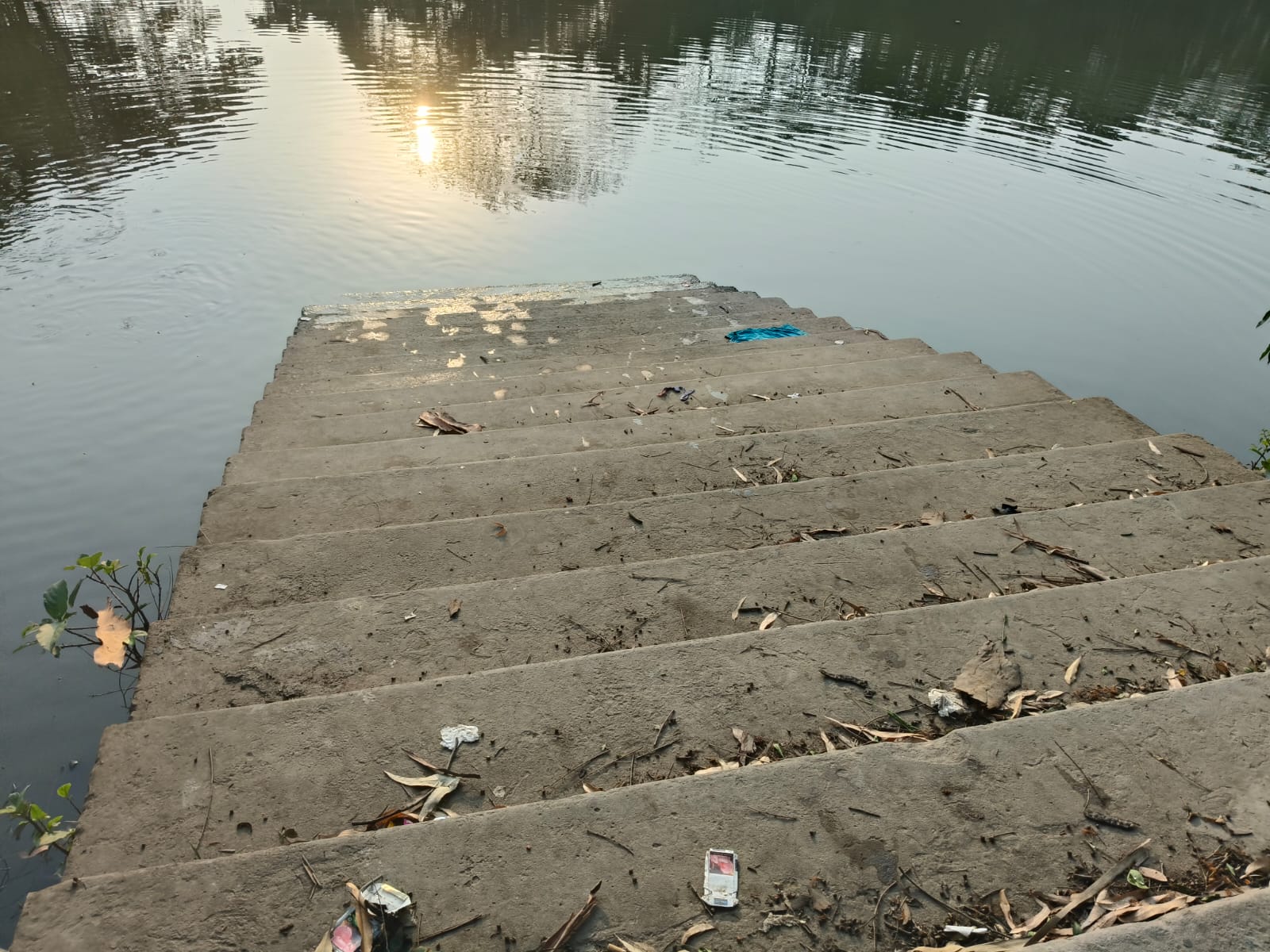1000301498.jpg