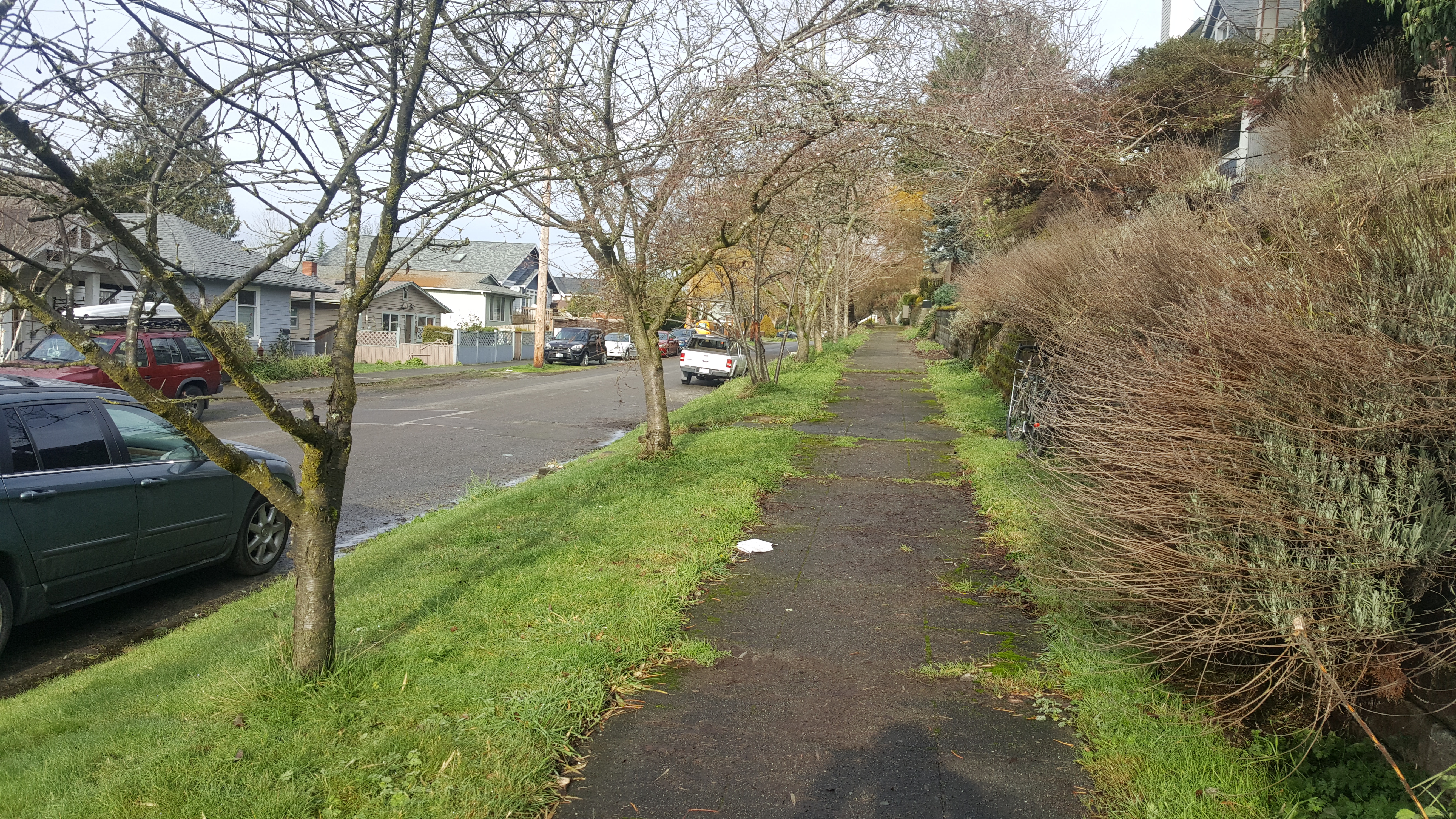 20190111_121456.jpg