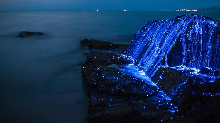 fenomeno-de-bioluminescencia-na-regiao-de-okayama-no-japao-1566257550724_v2_750x421.jpg