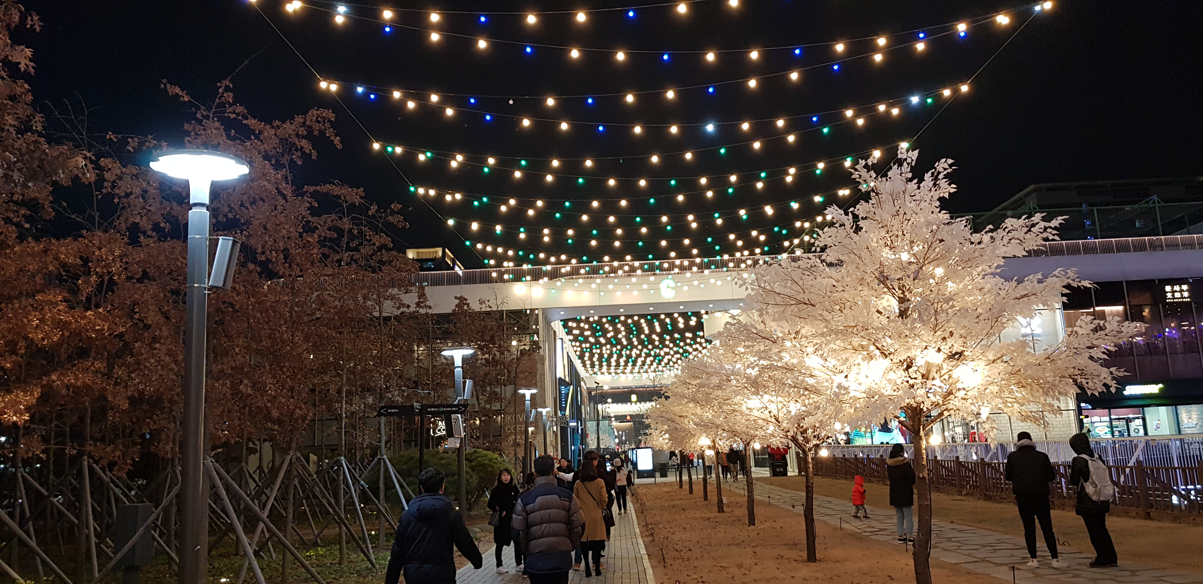 20191228_185051.jpg