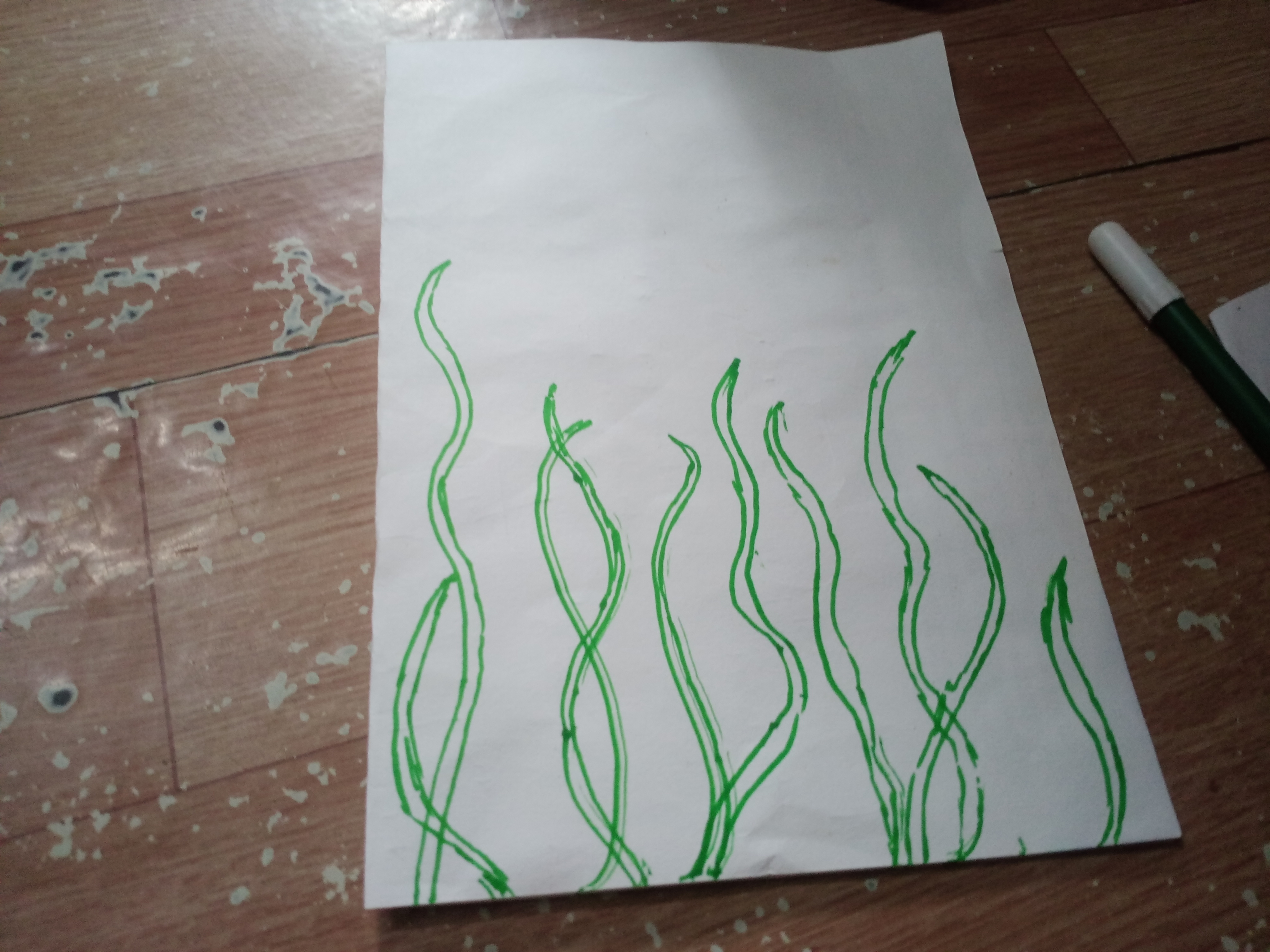 IMG20260731091841.jpg