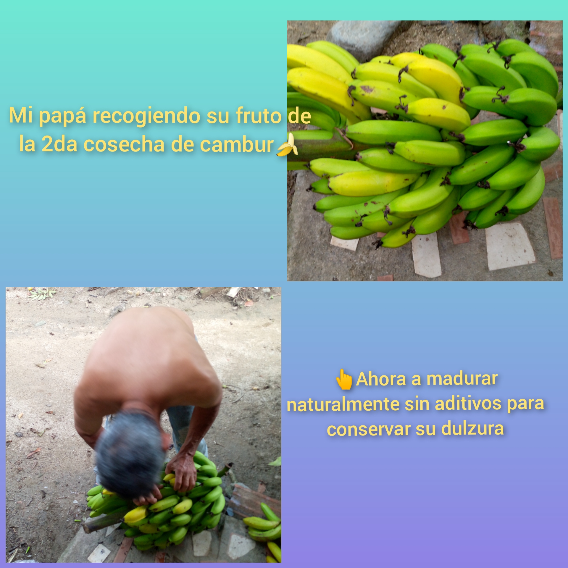 CollageMaker_20210907_153157644.jpg