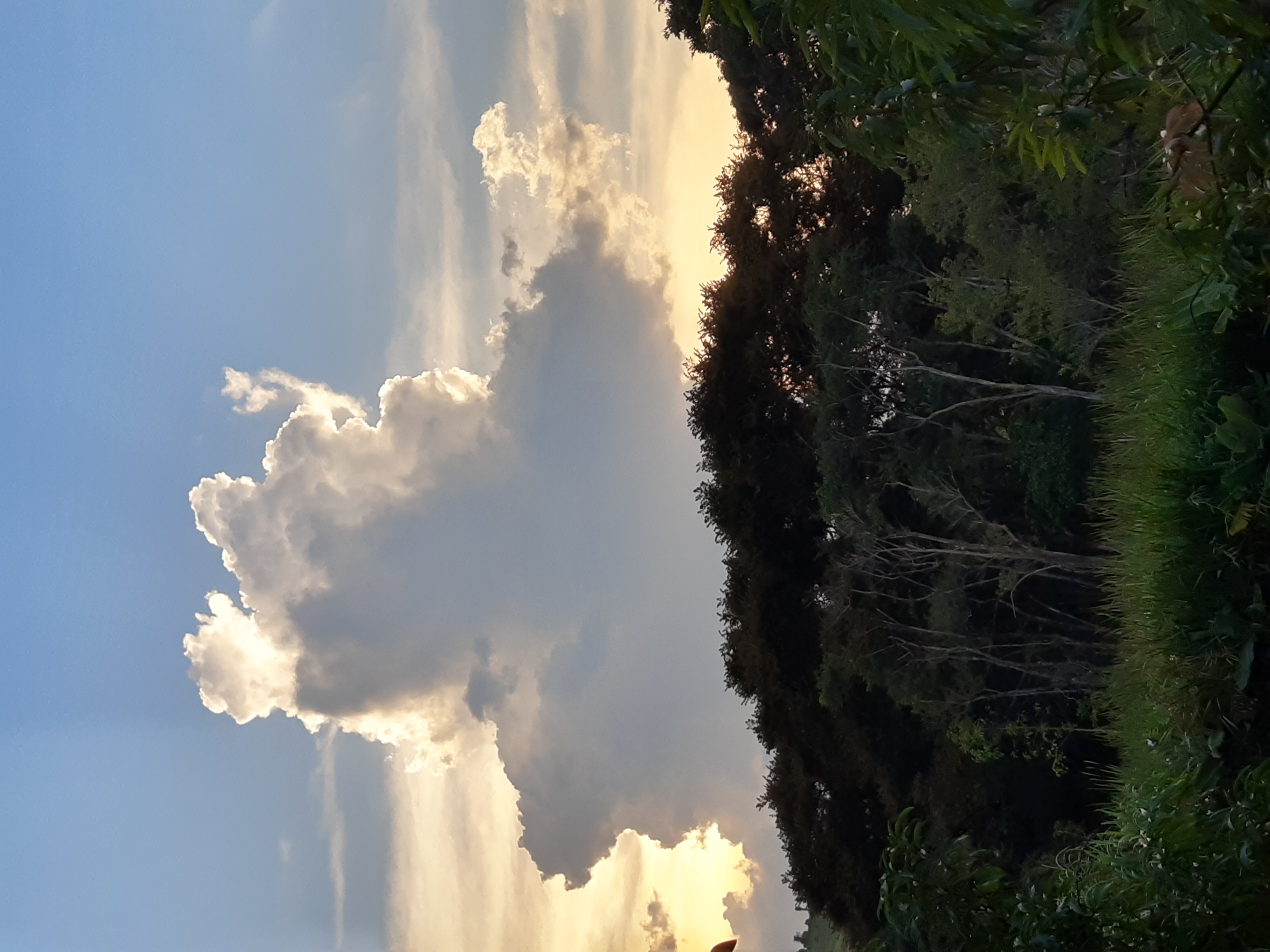 IMG_20210316_174005834_HDR.jpg