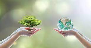 env.jpg
