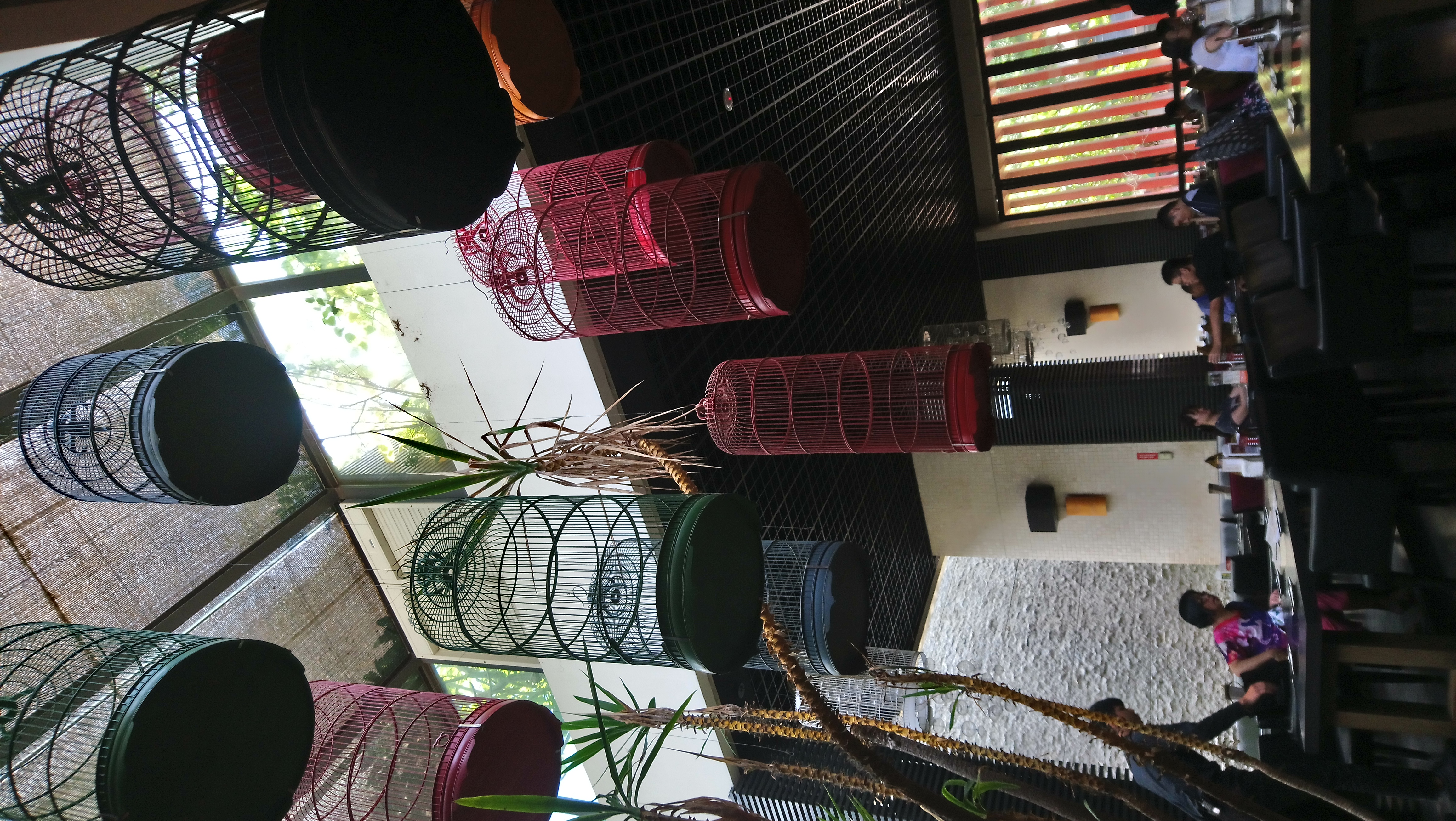 DSC_2102.JPG