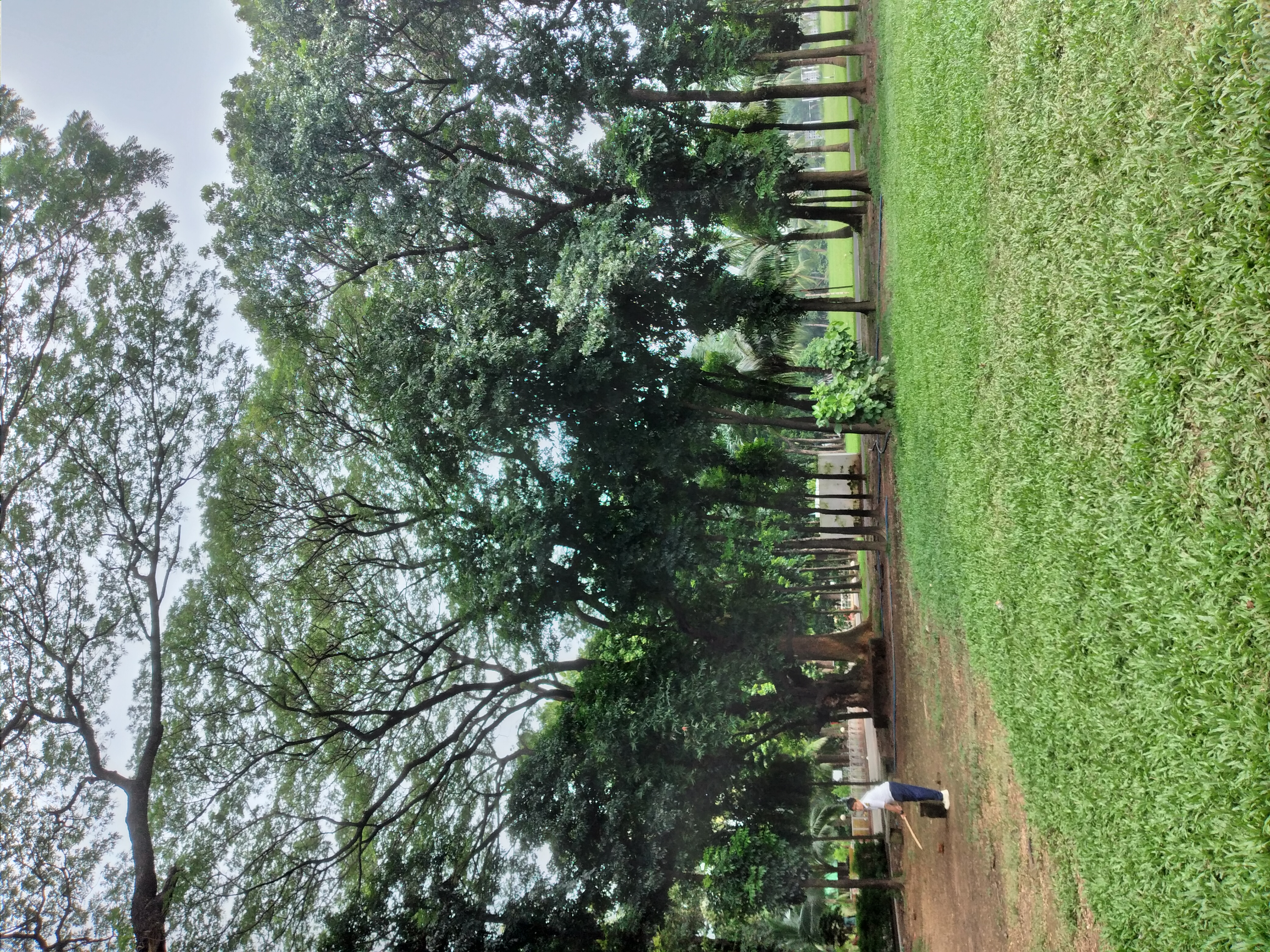 20240929_123028.jpg