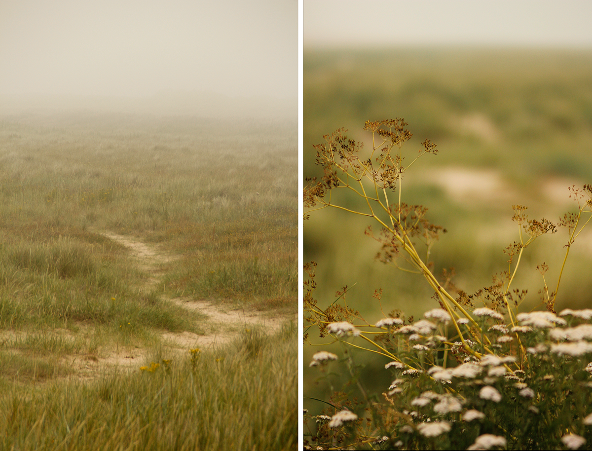 dornoch4.png